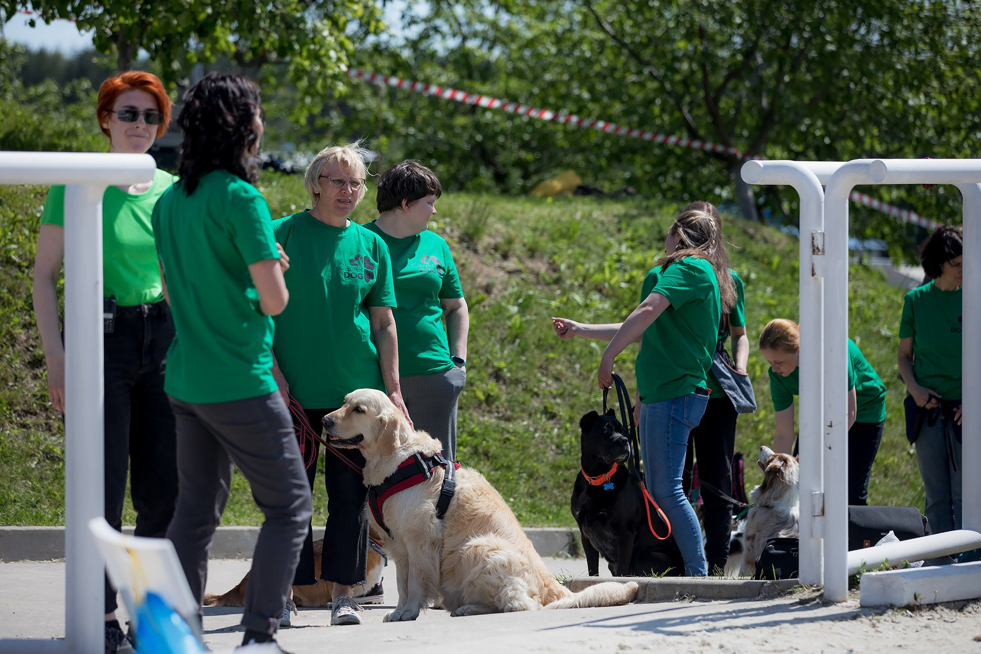 Показательные выступления по NoseWork на выставке «Россия». Фотограф-анималист Mary Mart — Москва, Питер