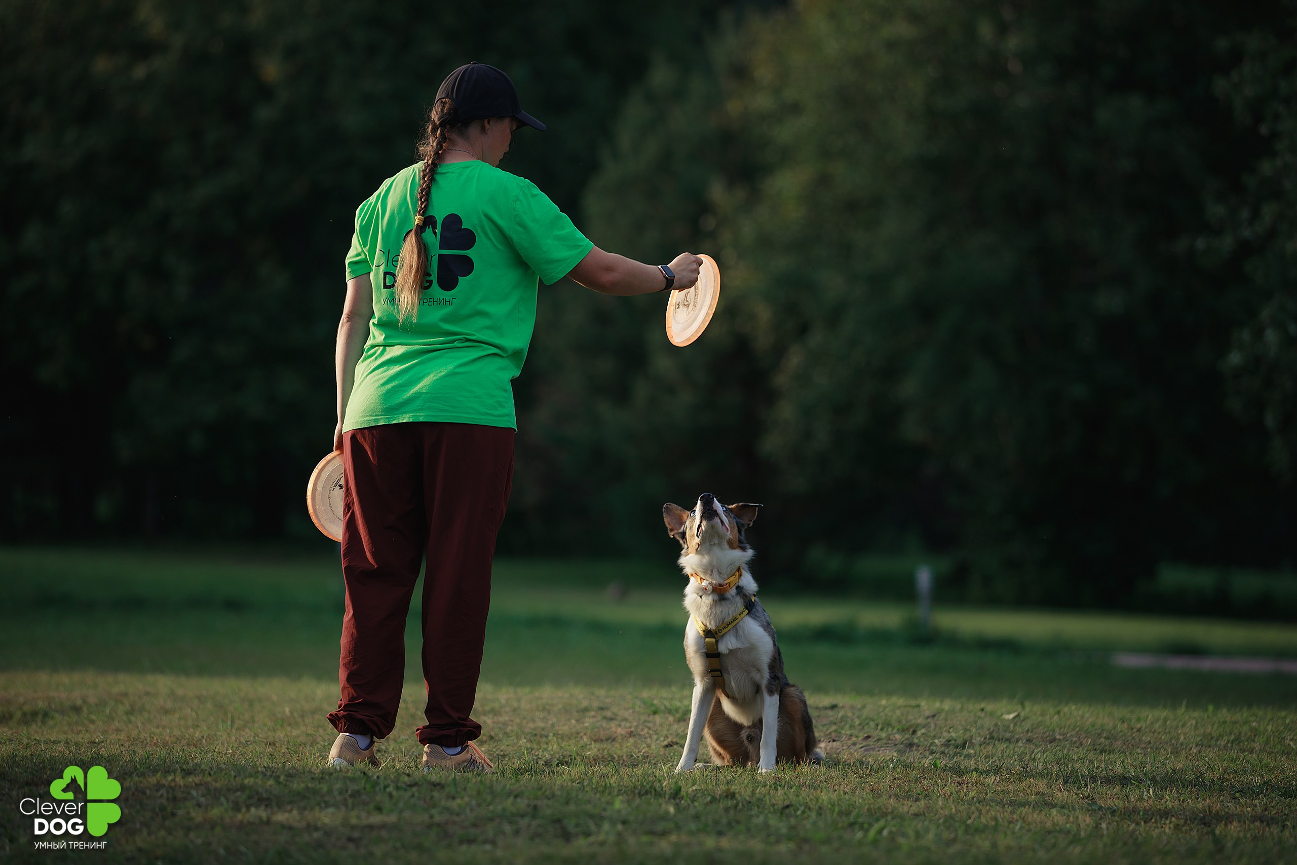 Кинологический лагерь CleverDog, 2024. Фотограф-анималист Mary Mart — Москва, Питер