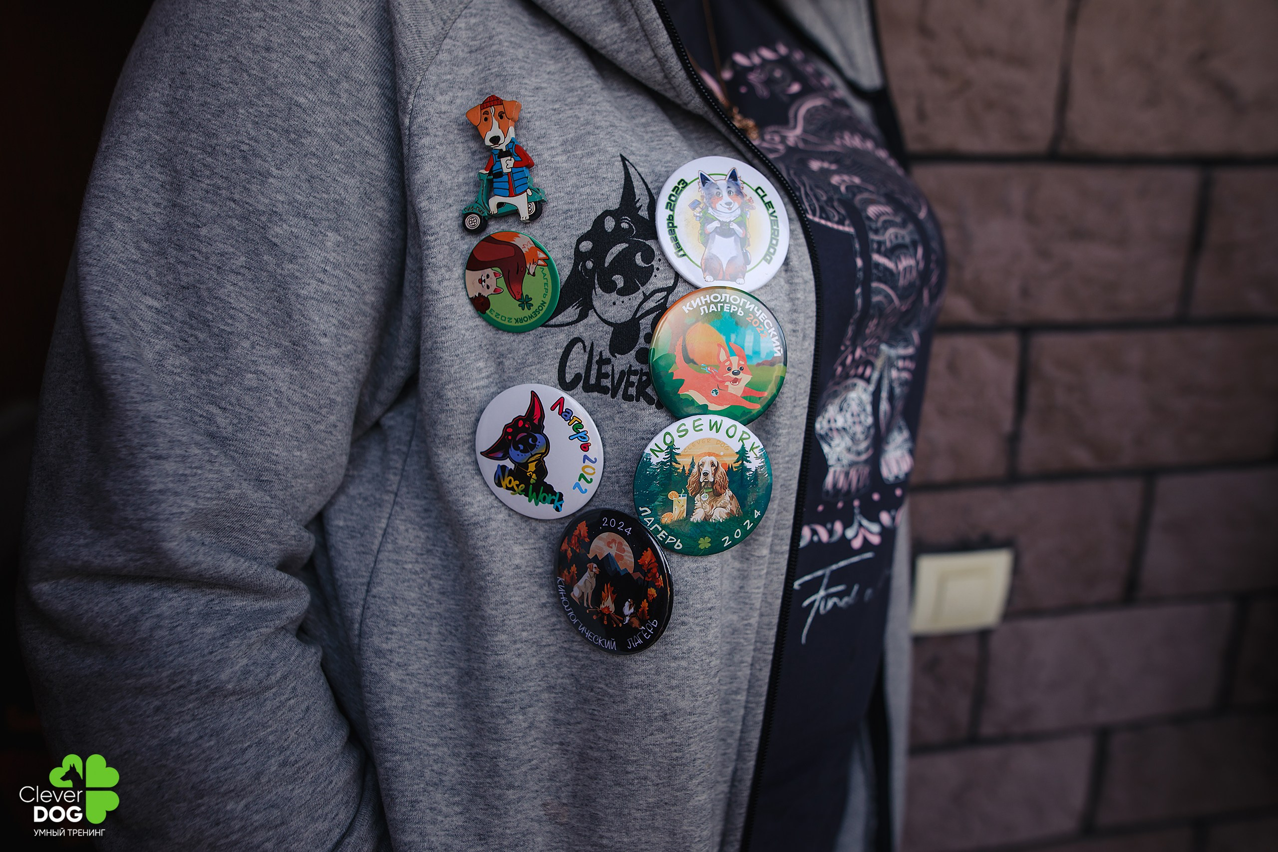 Кинологический лагерь CleverDog, 2024. Фотограф-анималист Mary Mart — Москва, Питер