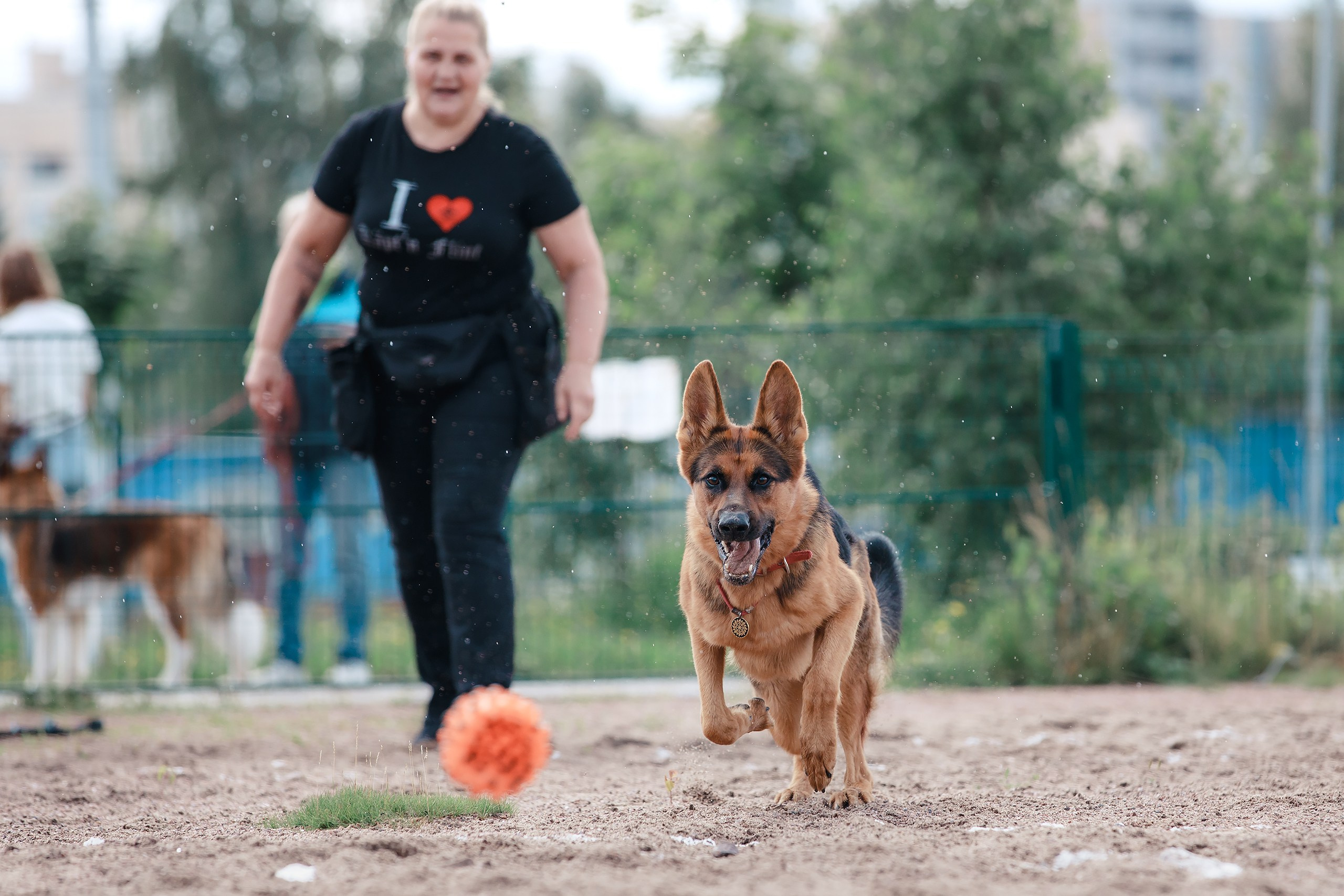 Питч&Гоу + веселые старты. Фотограф-анималист Mary Mart — Москва, Питер