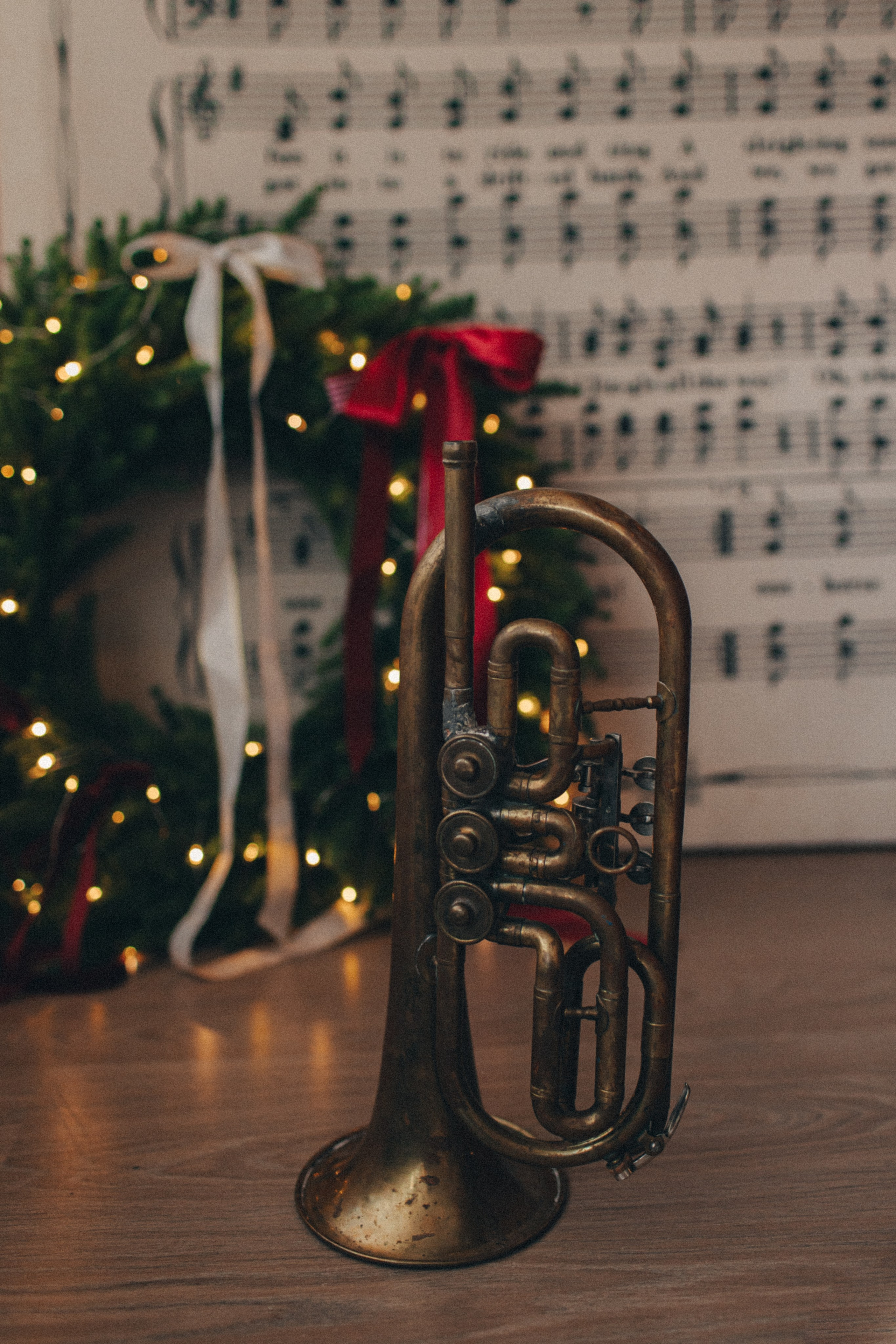 Интерьер фотостудии. Фотограф Евгения Мальцева, Архангельск