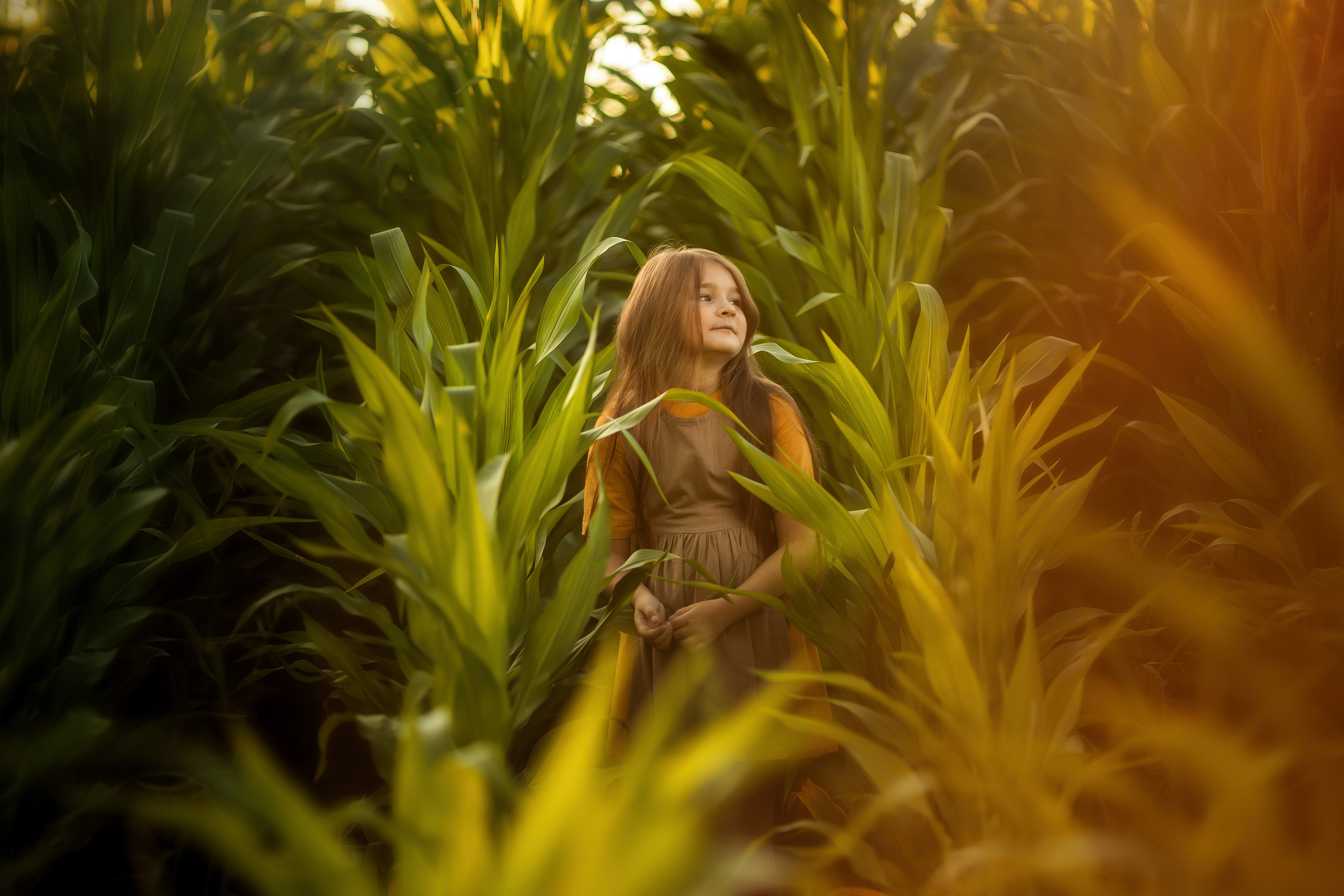 Девочка с длинными светло-каштановыми волосами стоит в густых зарослях кукурузы, освещённая мягким золотым вечерним светом. На ней коричневое платье, вокруг — зелёные листья и тёплое боке, создающее атмосферу спокойствия и летнего тепла.