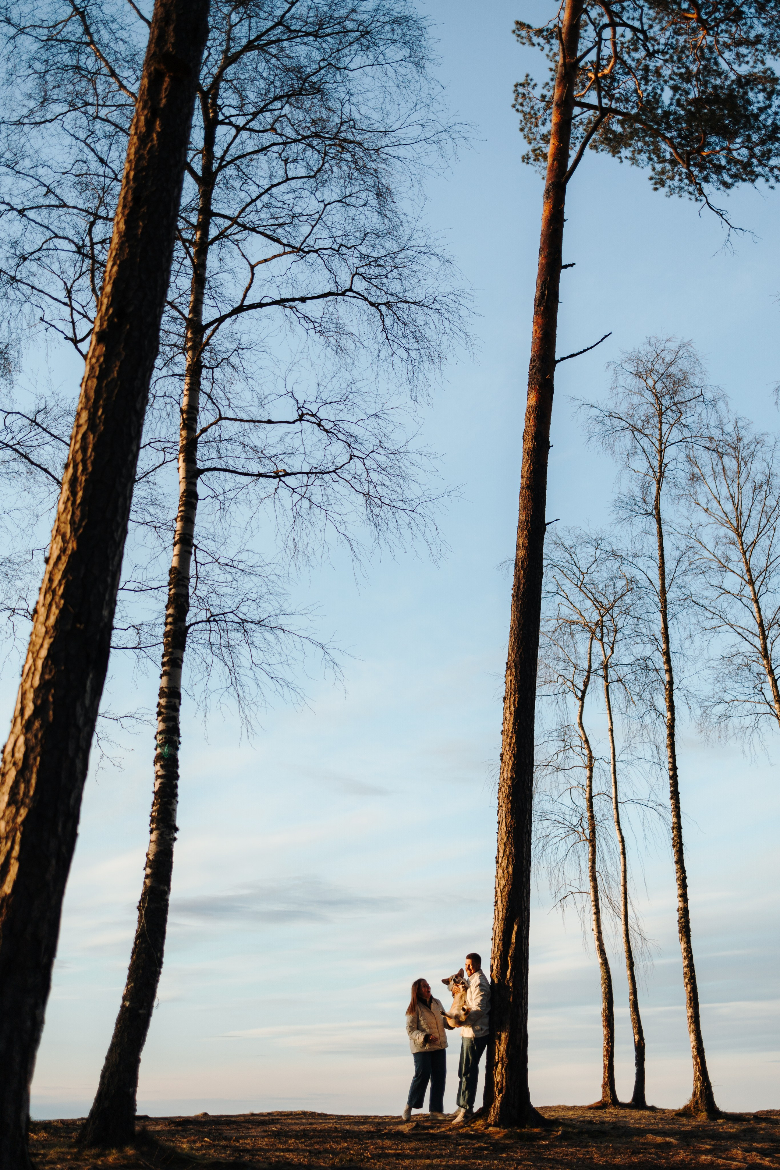 Найт и его семья. Фотограф — Анималист | Санкт-Петербург