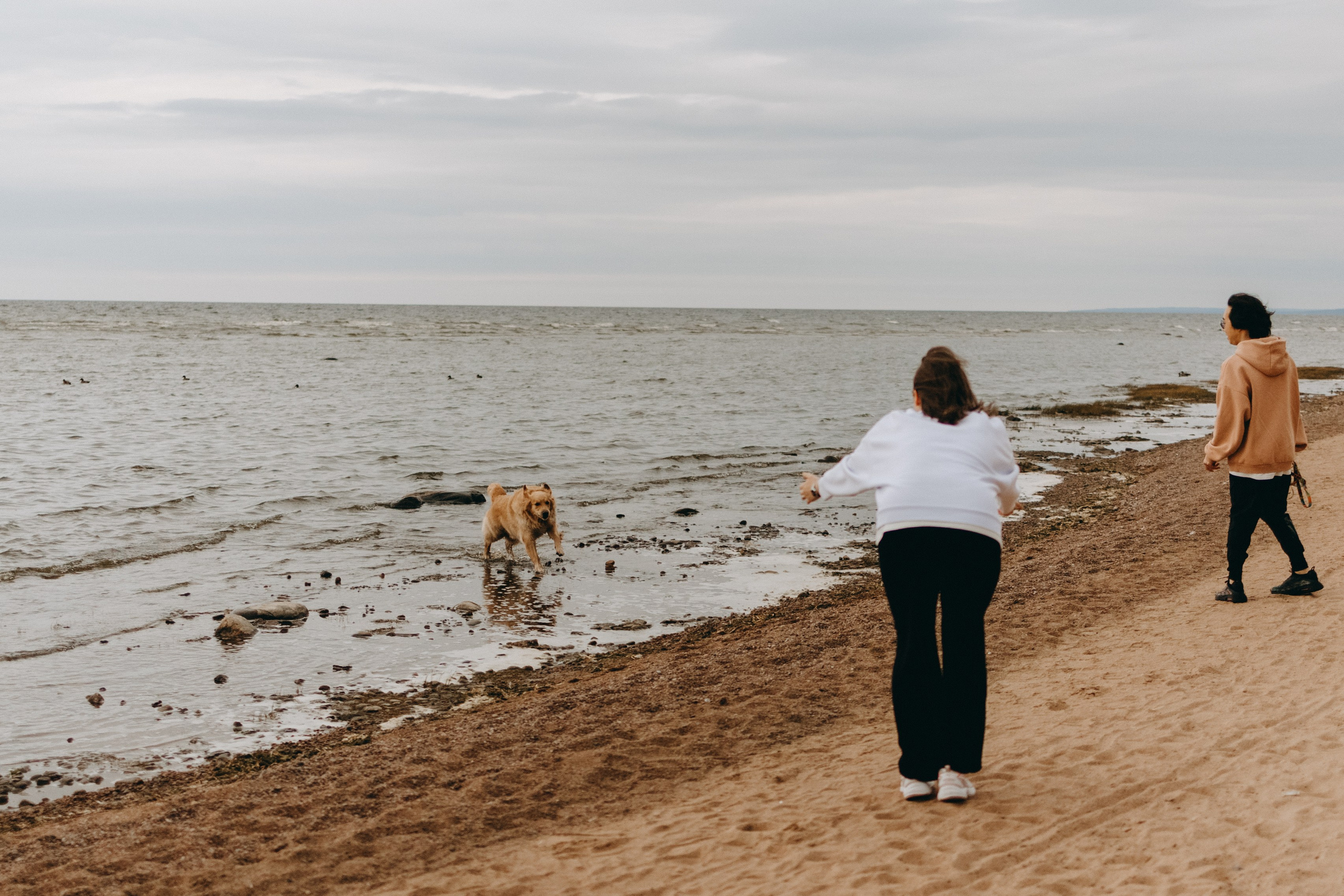Фоси и его семьи. Фотограф — Анималист | Санкт-Петербург