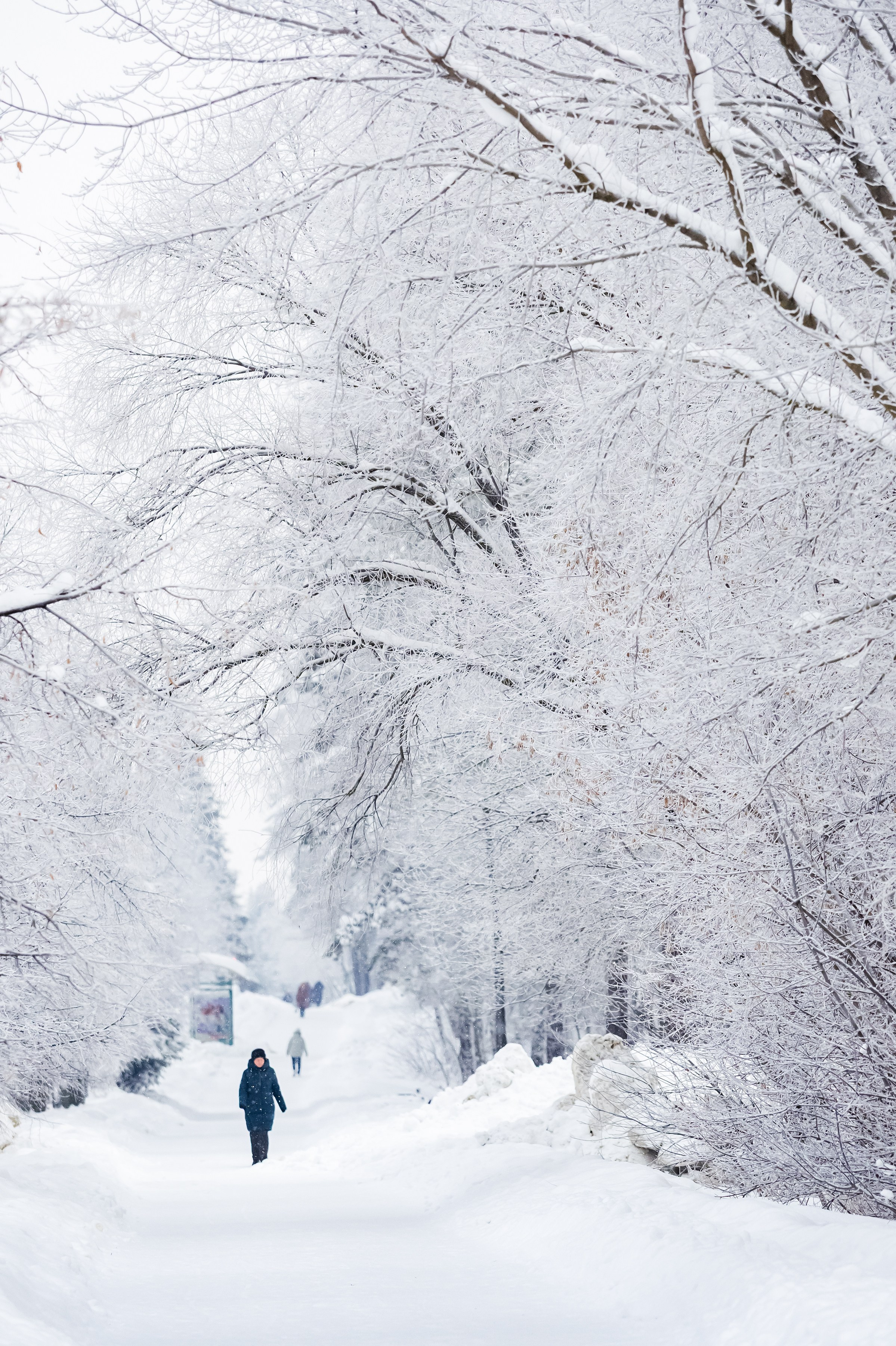Красота Заречного. Репортажный, семейный и детский фотограф в Пензе и Заречном Арина Ермилова. Картины барельеф на заказ
