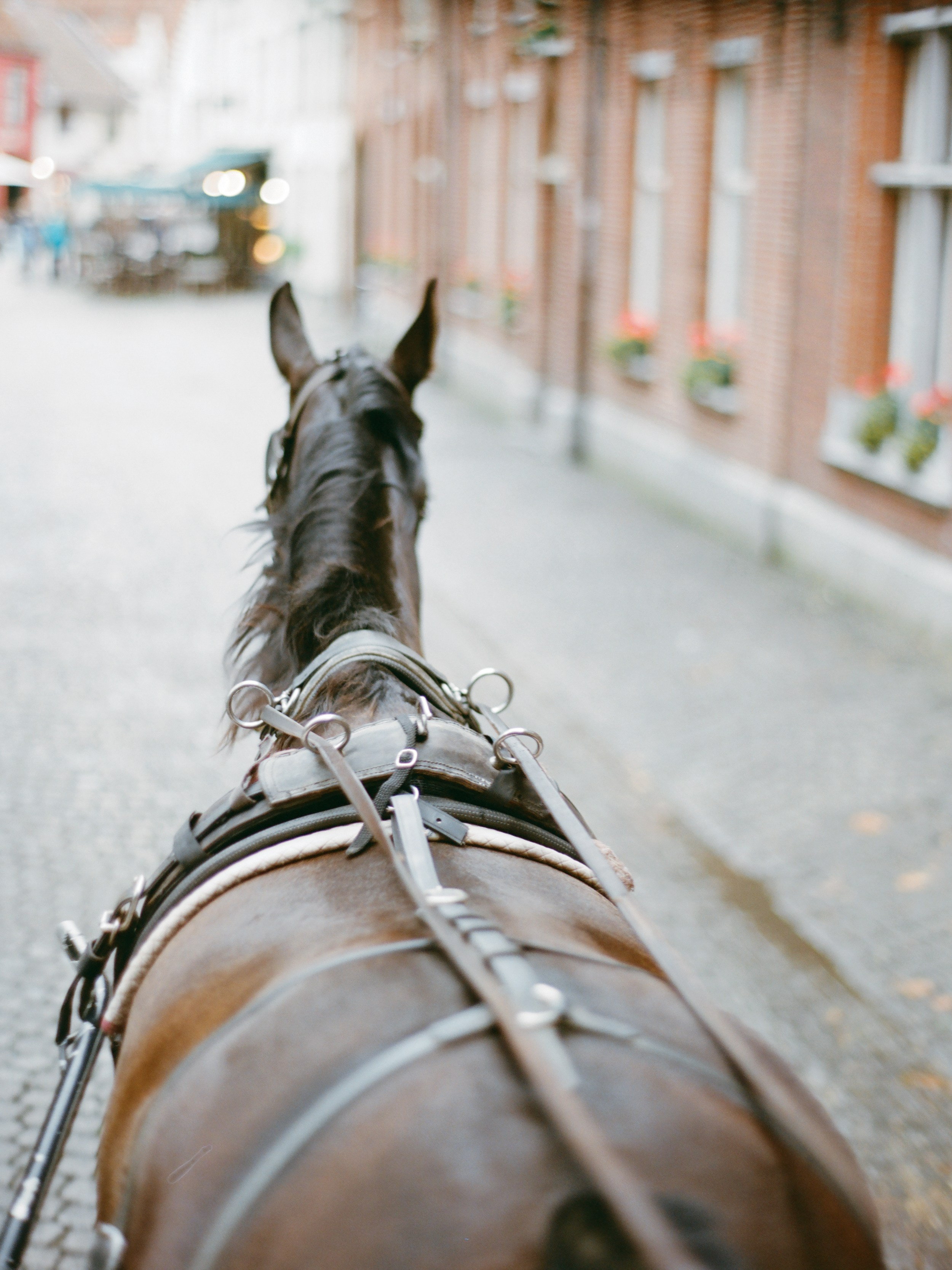 Годовщина в Брюгге. Изящная фотография | Ксения Милушкина
