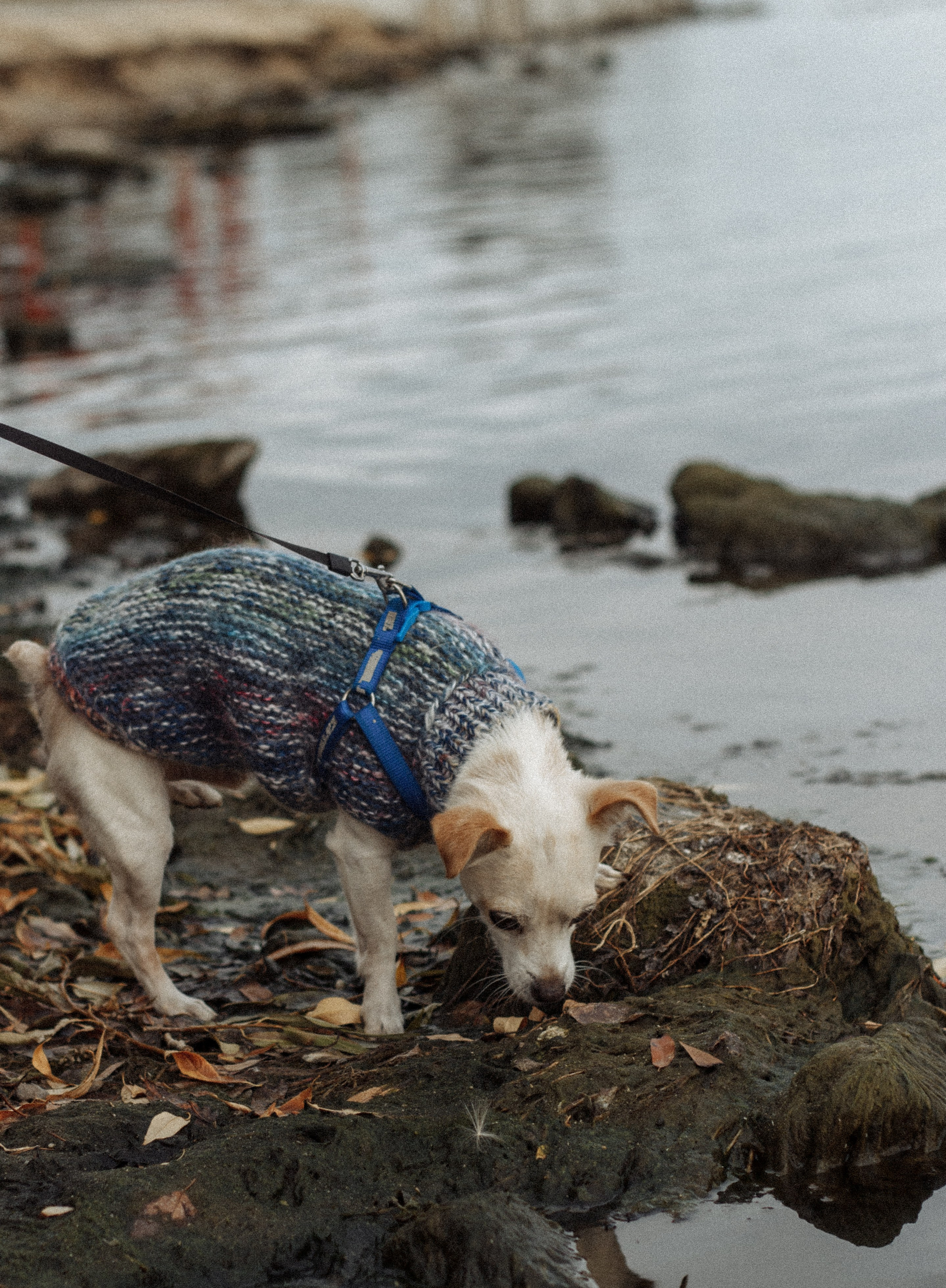 Дарья и Константин. Фотограф в Челябинске Березина Екатерина