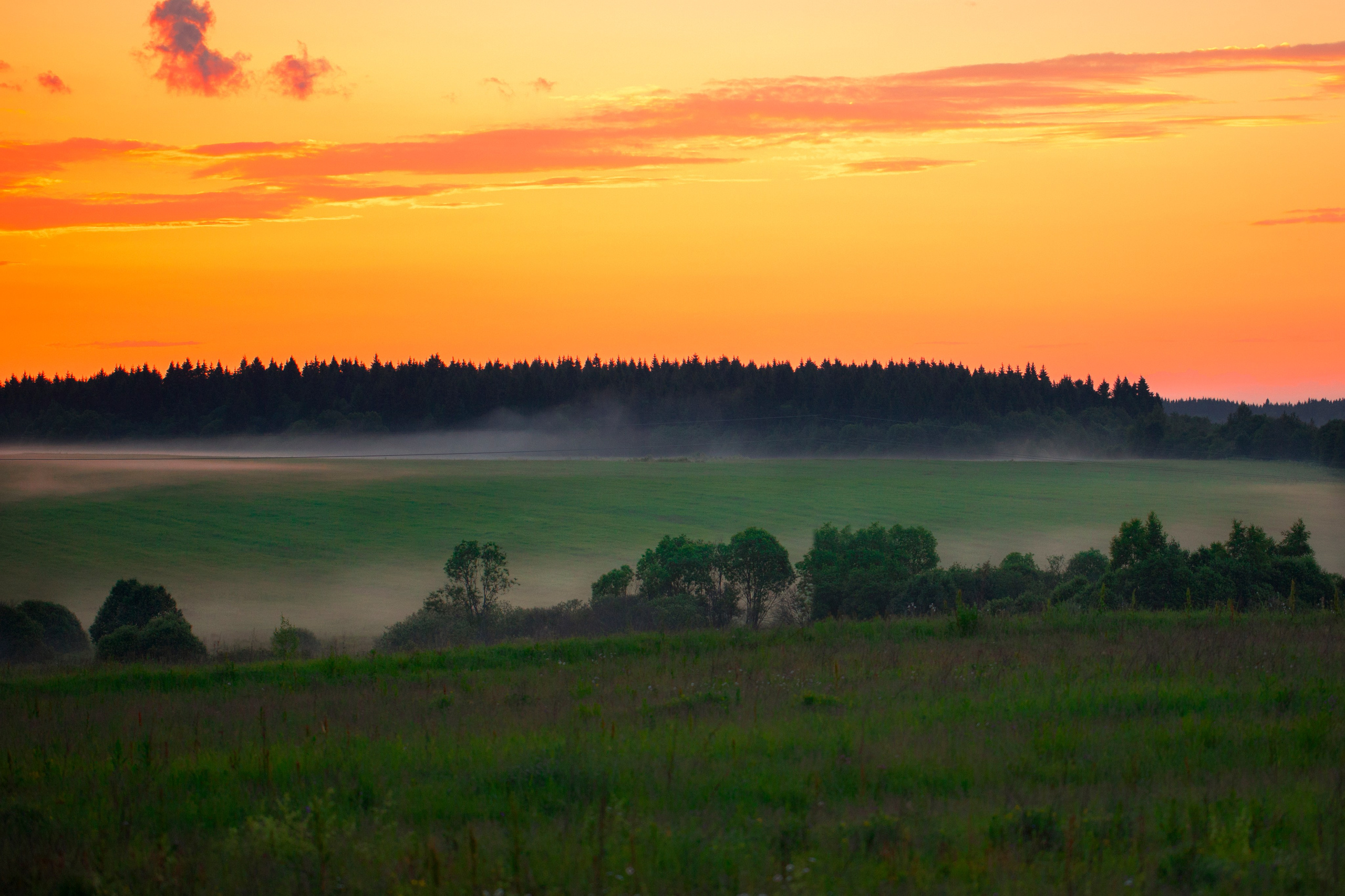 Цвет как объект. Свадьбы, портретная, предметная съемка. Фотограф Александр К