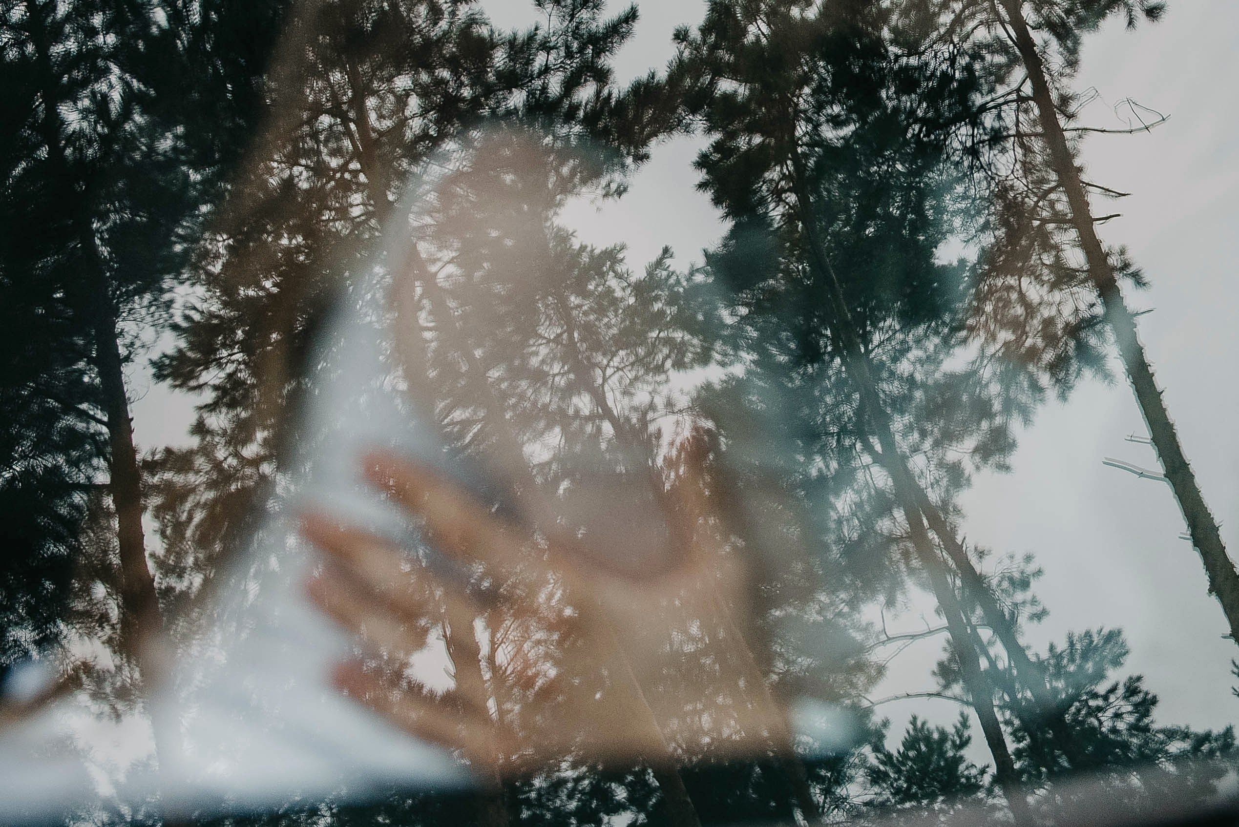 Артём и Лера. Свадебный фотограф Марина Жемчужникова в Москве и в Белгороде