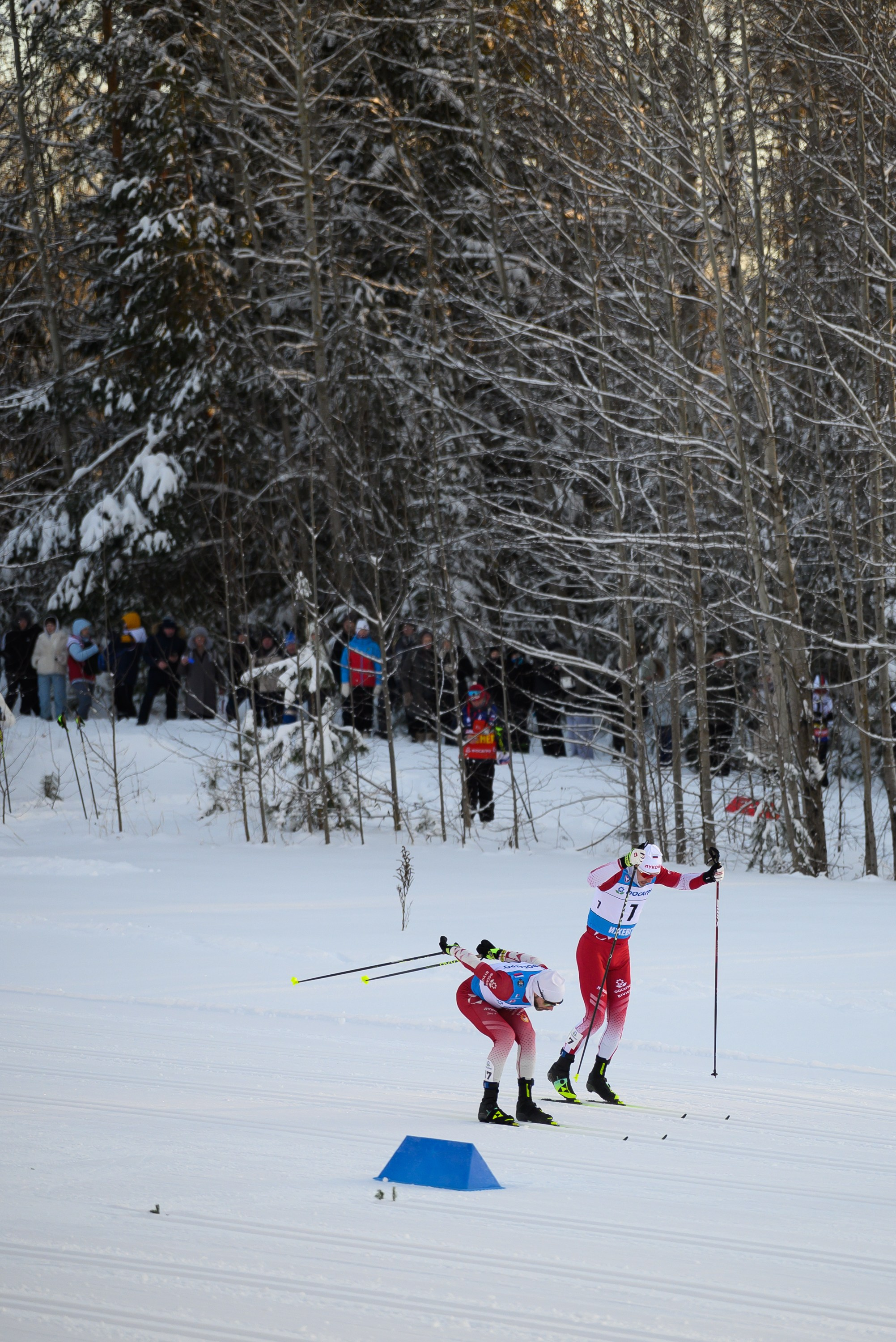 Лыжные гонки. Свадебный фотограф Ижевск Петр Шишков