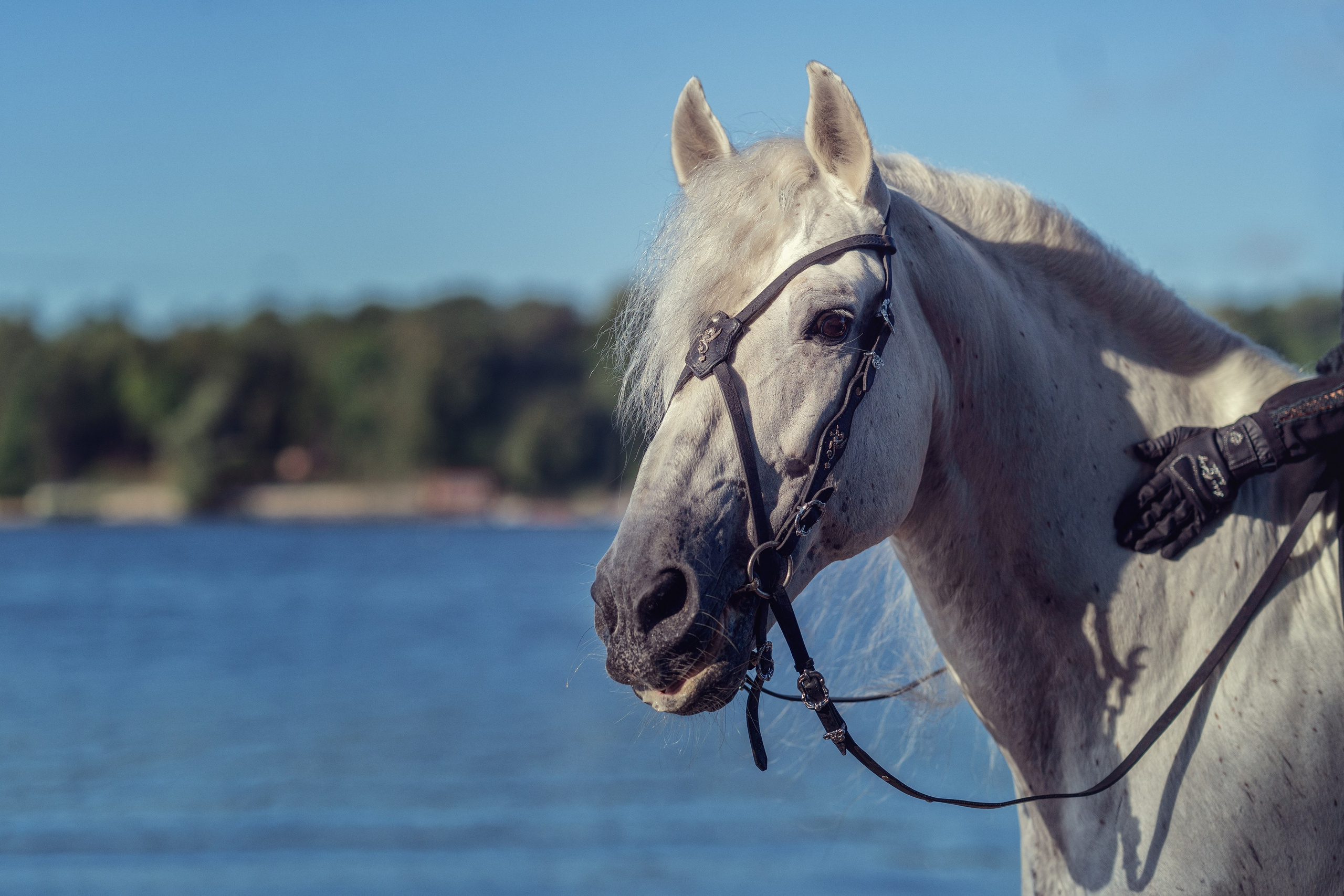 Грани. Семейный фотограф Новая Рига (Звенигород, Истра) Евгения Литовченко