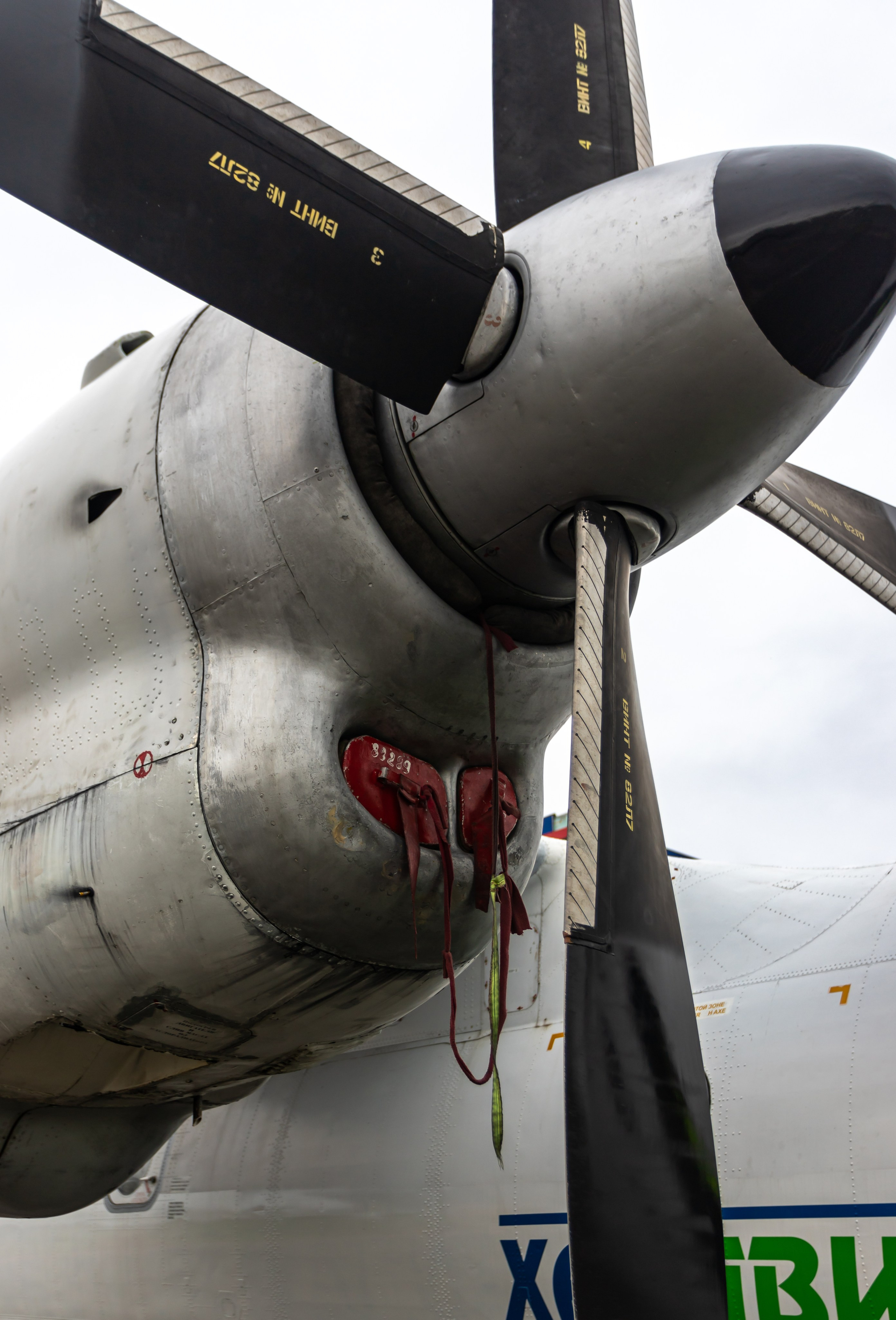 Споттинг 2024. Семейный и детский фотограф в Хабаровске Алевтина Проскурякова