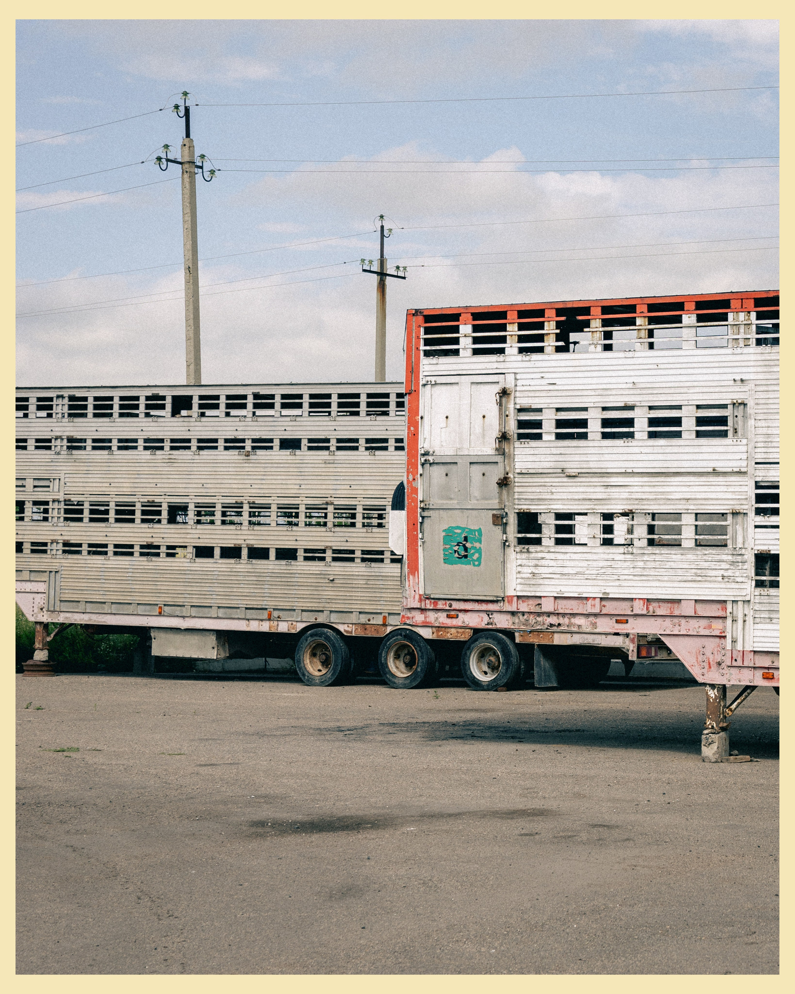 HBP x VANO. Ivan Petrov photographer