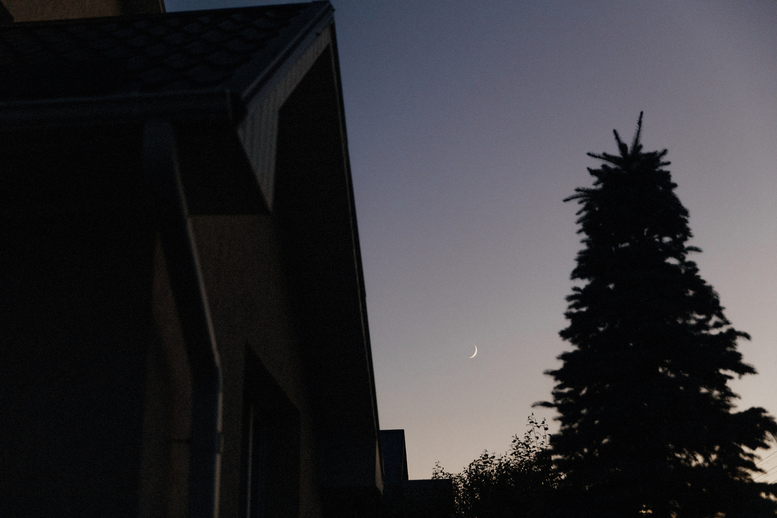 Алиса и Андрей. Катя Завьялова