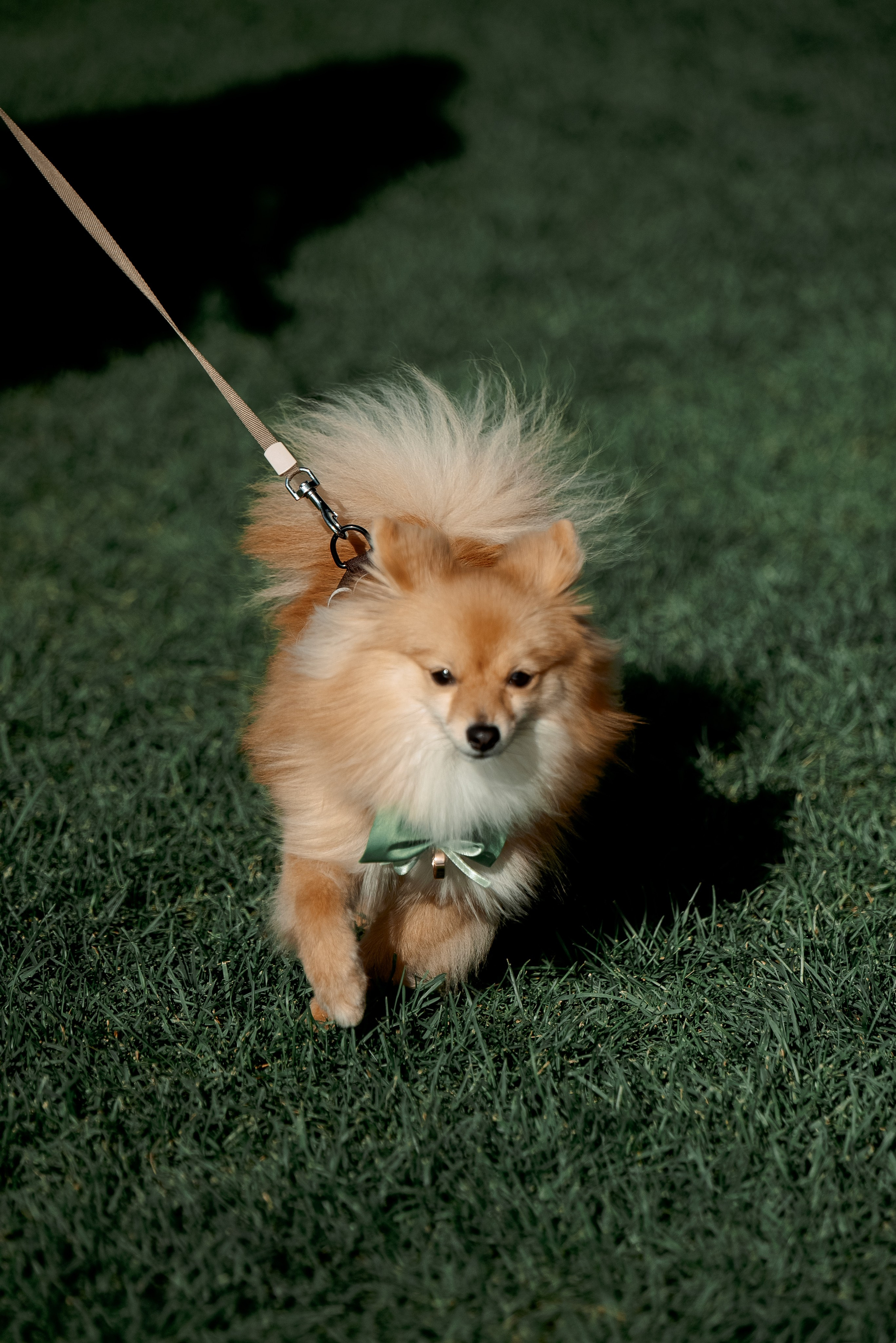 Никита и Вероника. Свадебный фотограф Евгения Наумовец