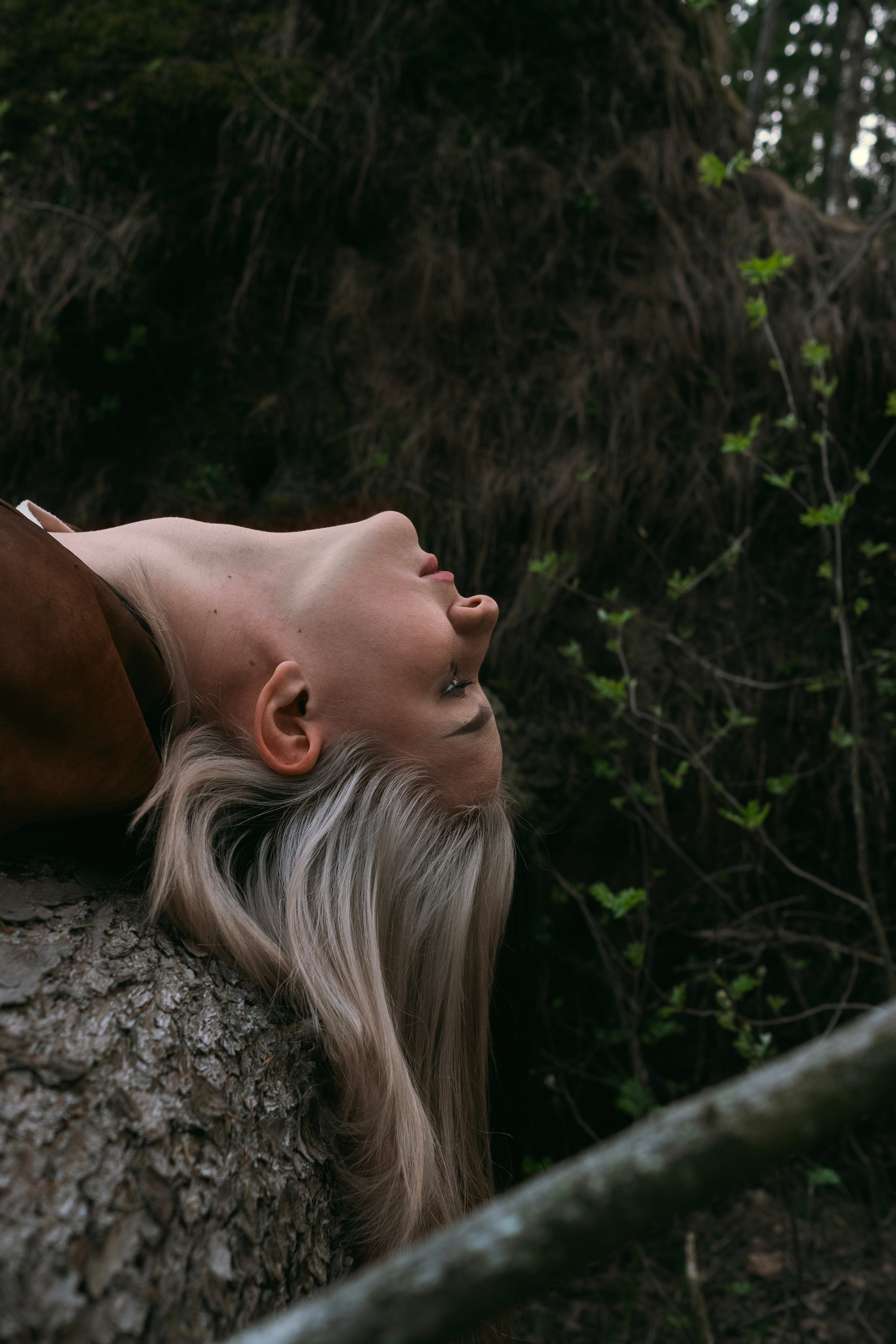 Насто. Главная