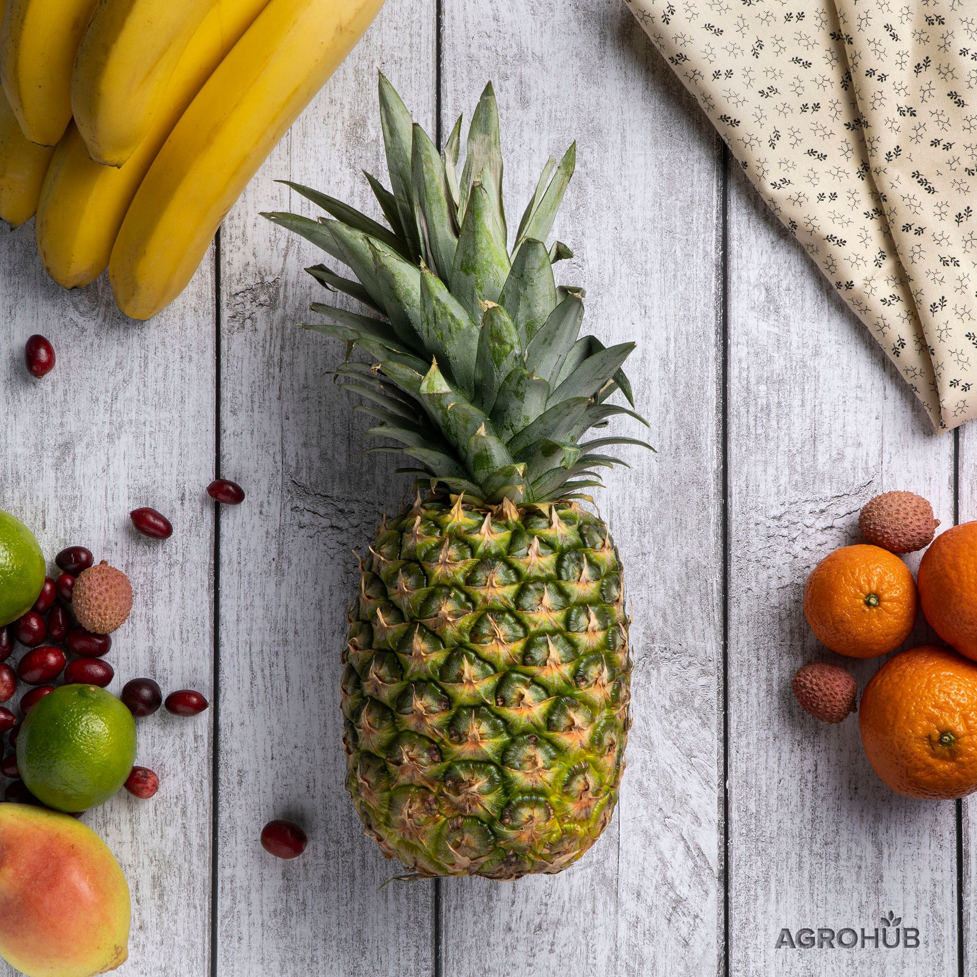 Agrohub. Предметное фото