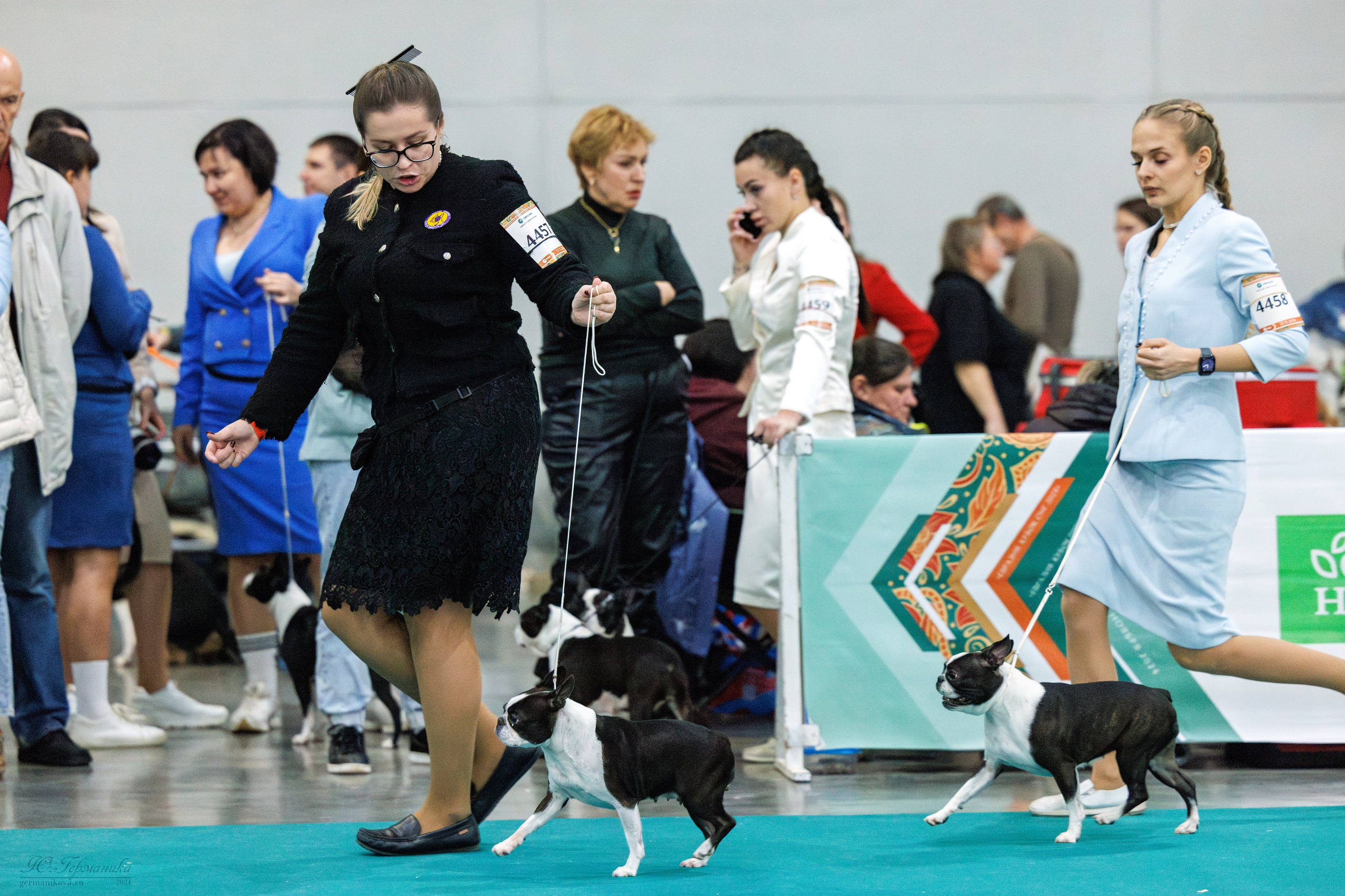 Евразия 16-17.11.2024. Фотограф-анималист Юлия Германика