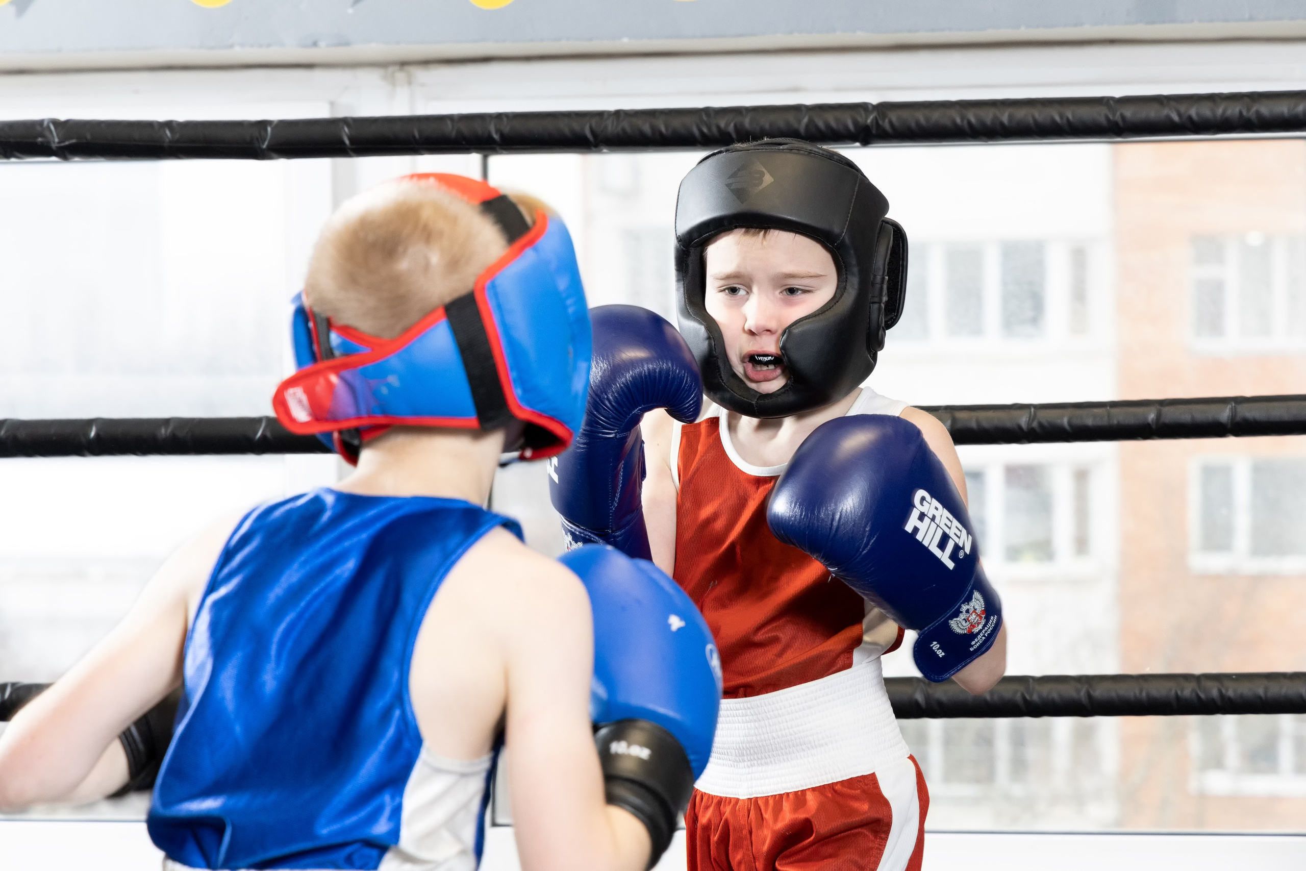 Бокс. Photomantis