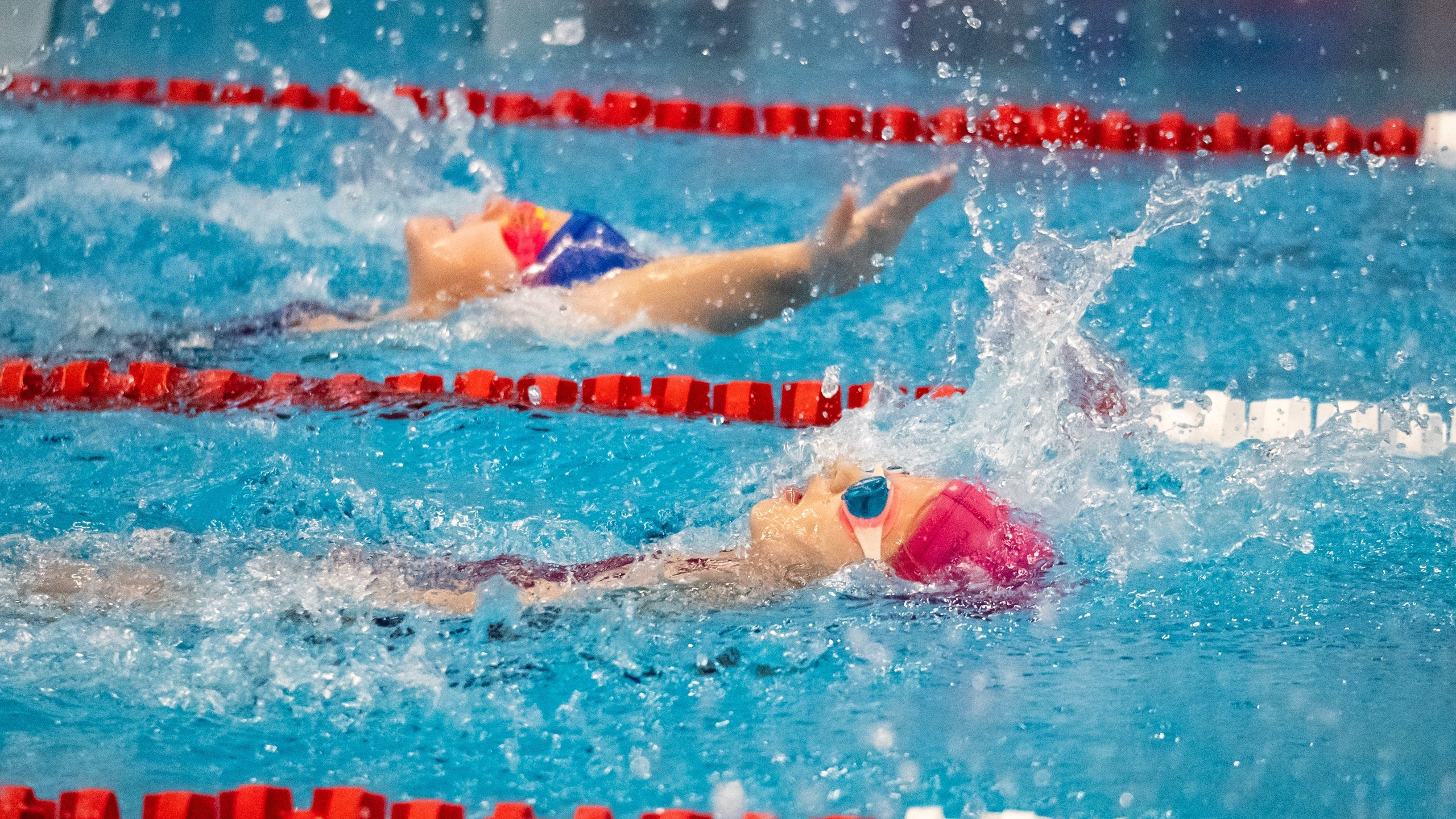 Соревнования по плаванию «Осенний спринт» 2025, МССУОР № 1. Фотограф и видеооператор Екатерина Гнатюк