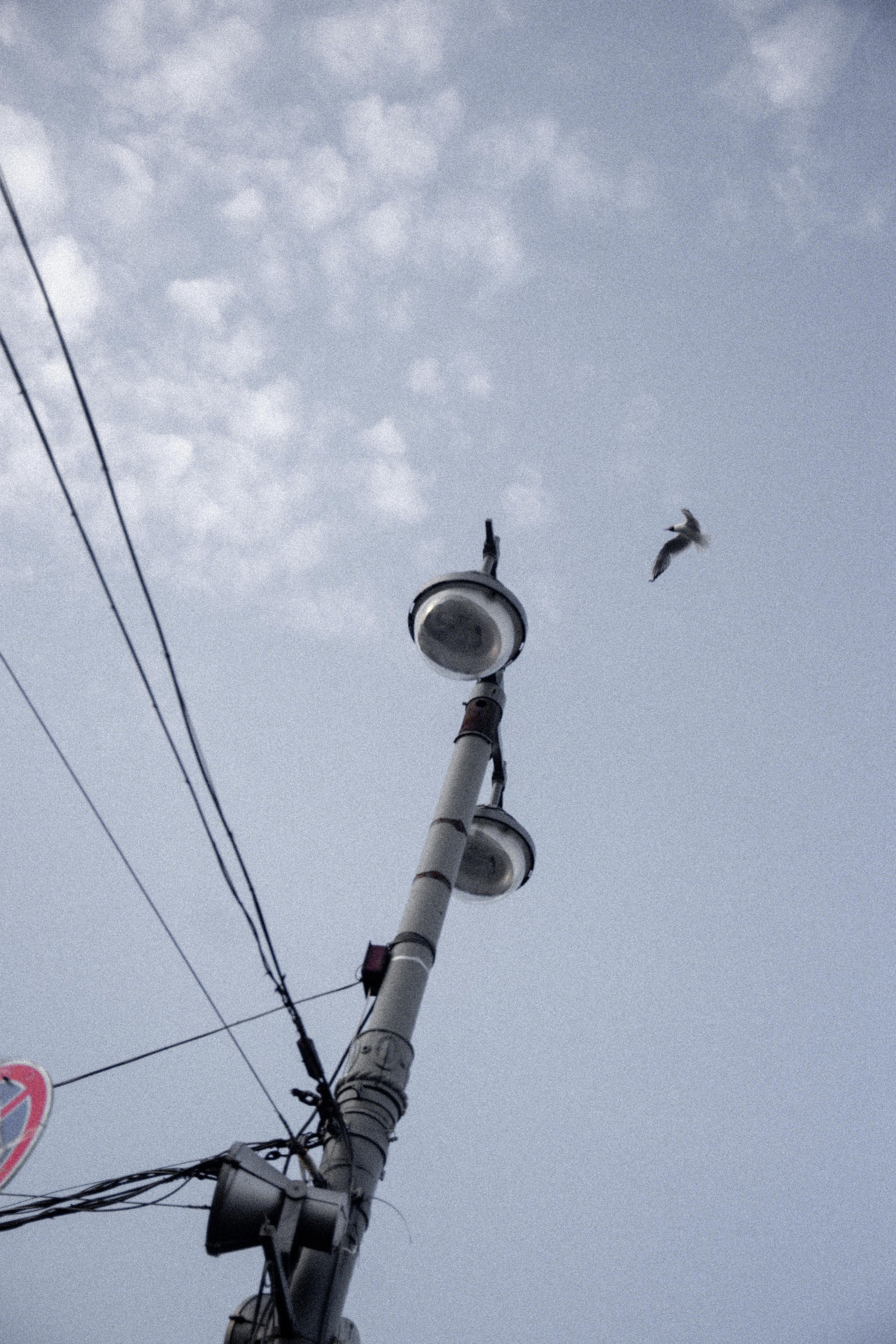 Art portfolio. AleSeeva