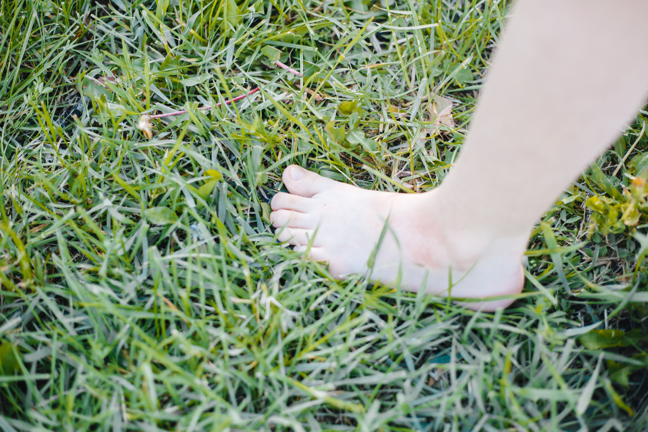 Рената, Алиса и Василиса. Фотограф  в Санкт-Петербурге Юлия Ильченко