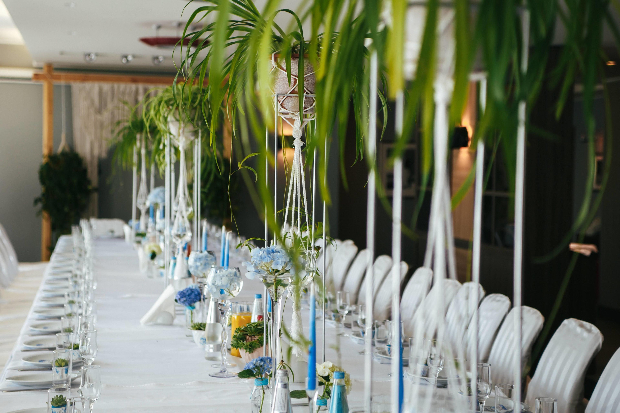 Алиса и Илья. Фотограф  в Санкт-Петербурге Юлия Ильченко