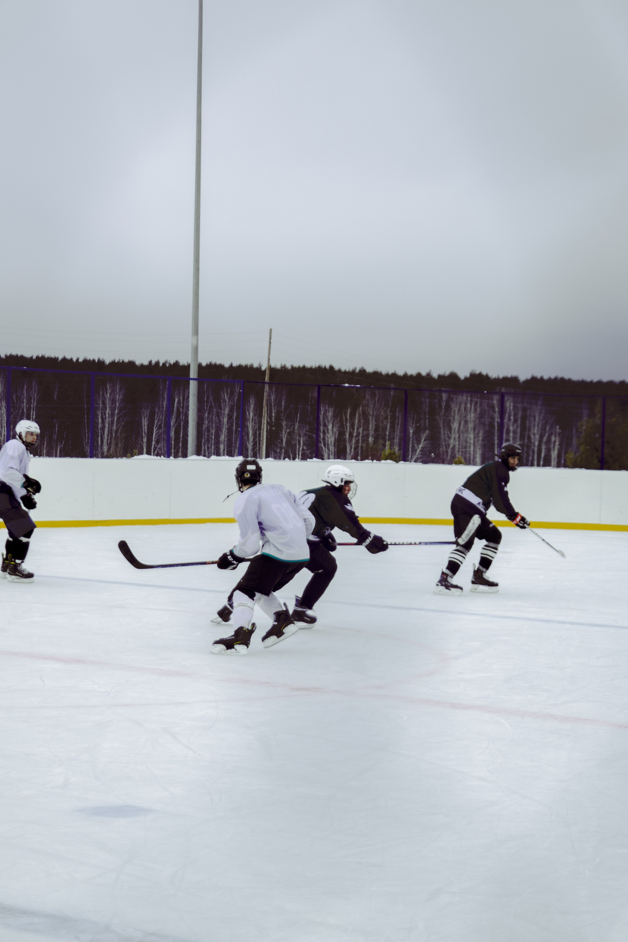 Хоккей 29.12.2024