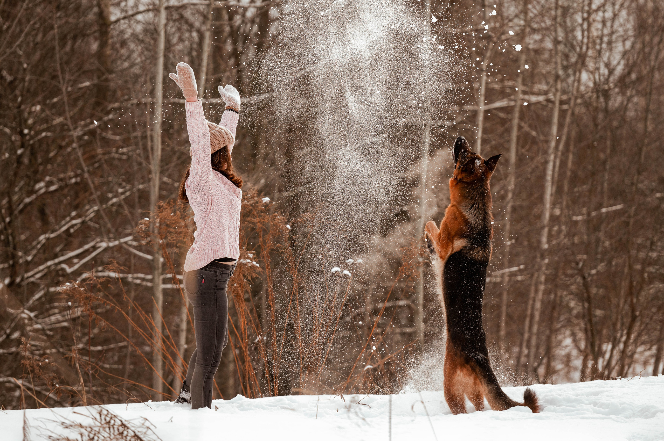 Вольт. Фотограф-анималист
