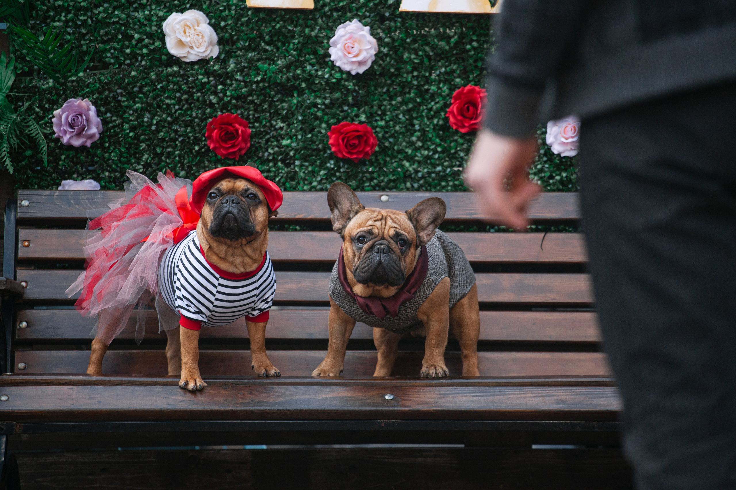 Бульбалл 23.04.2023. Фотограф-анималист Татьяна Степанова
