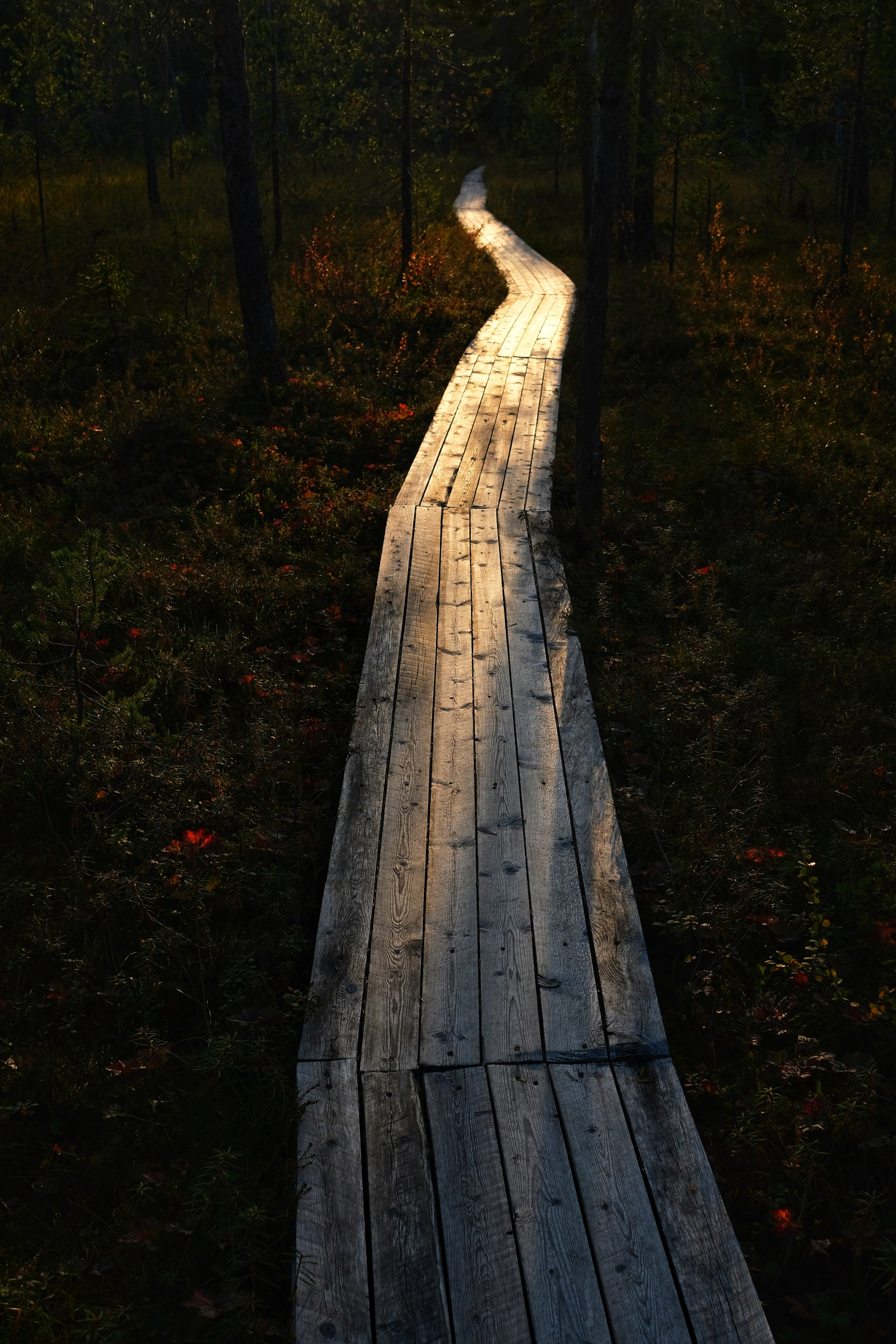 Мурманская область. Фотограф Евгений Андреев