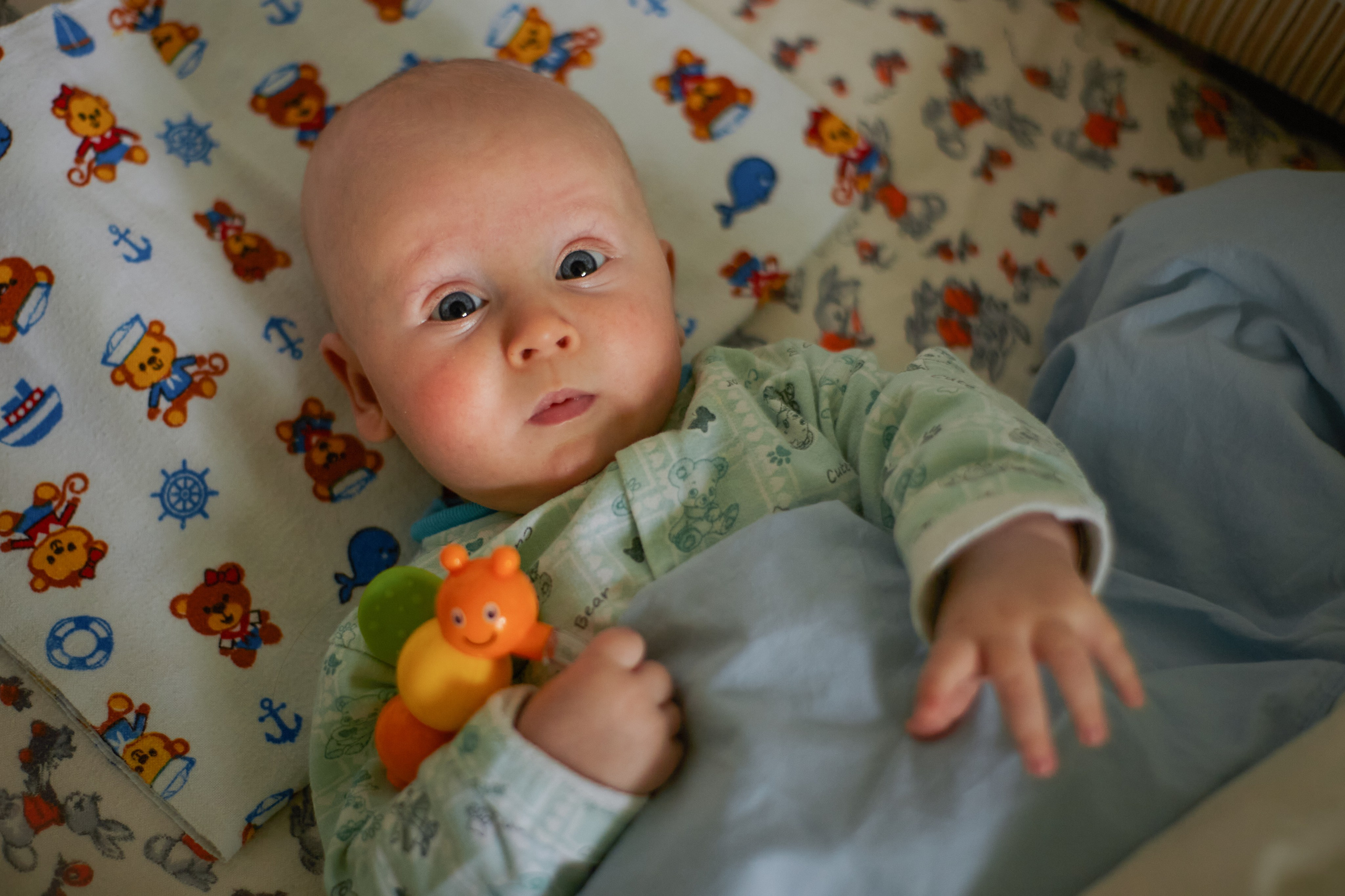 Крещение. Фотограф анималист в Москве Майорова Евгения