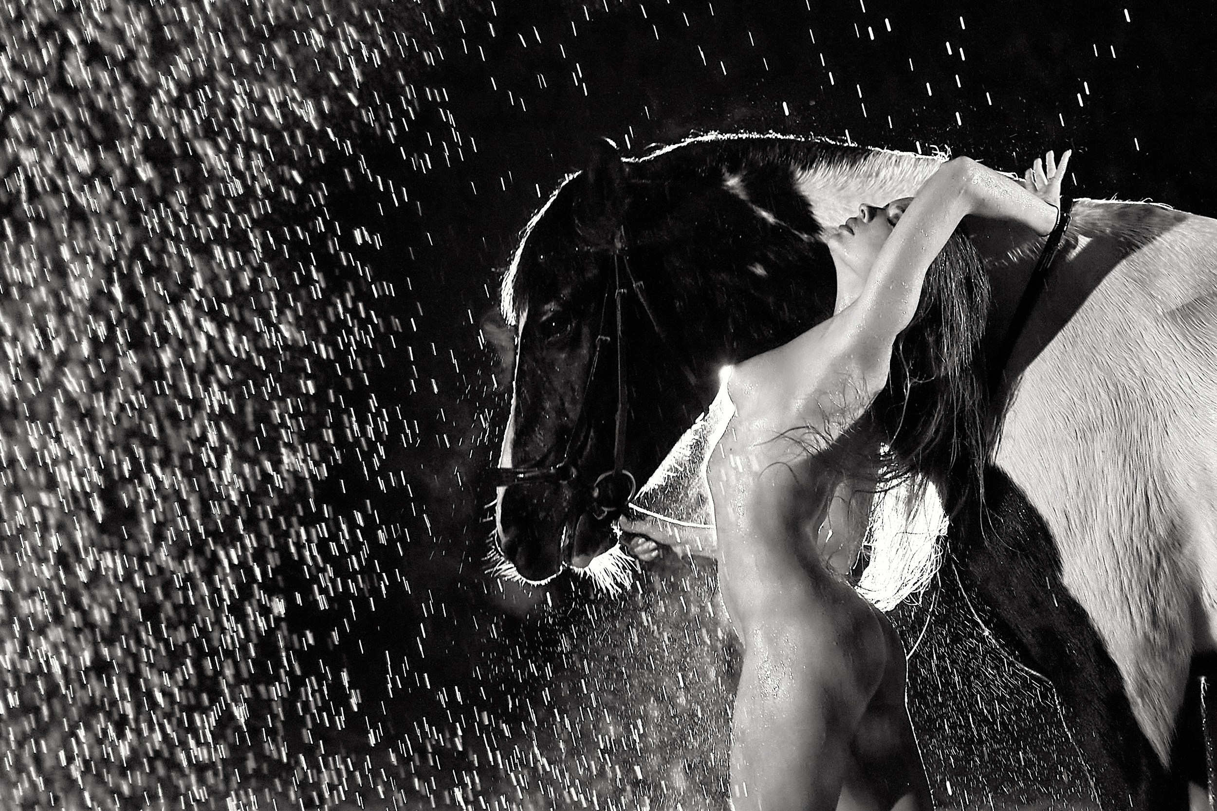 Фотосессия с лошадьми, Фотограф Михаил Семенов г. Ярославль