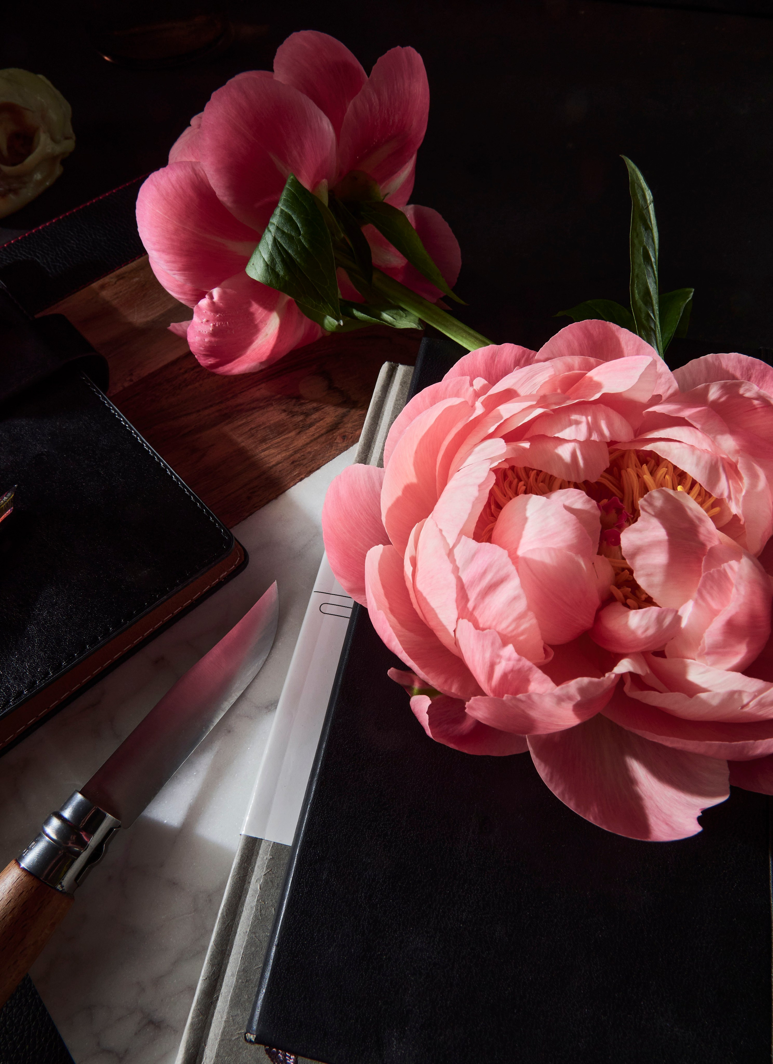 Упражнение с черепом и пионами. Коммерческий и художественный фотограф в Москве Плоскирев Валерий