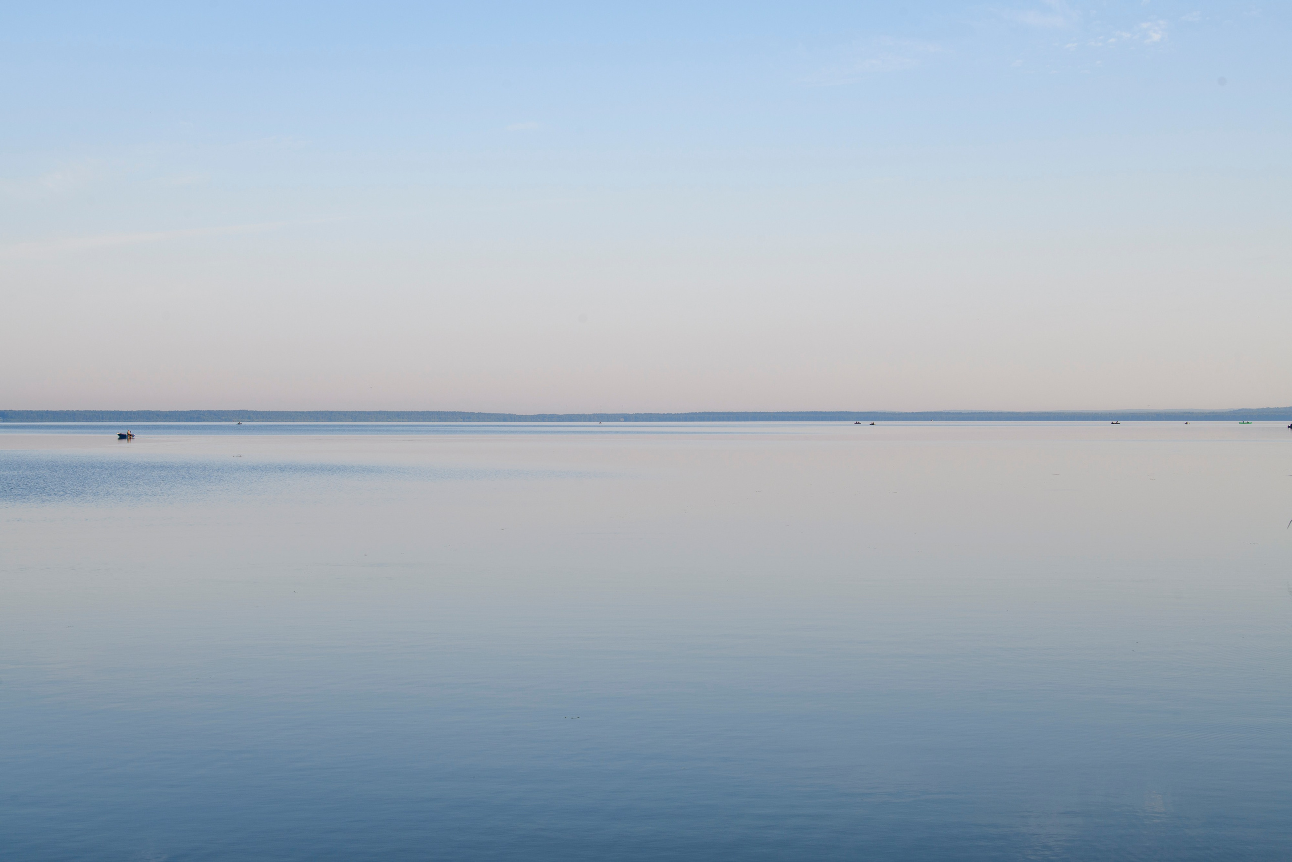 Переславль-Залесский. Wildlife photography by Sergey Puponin
