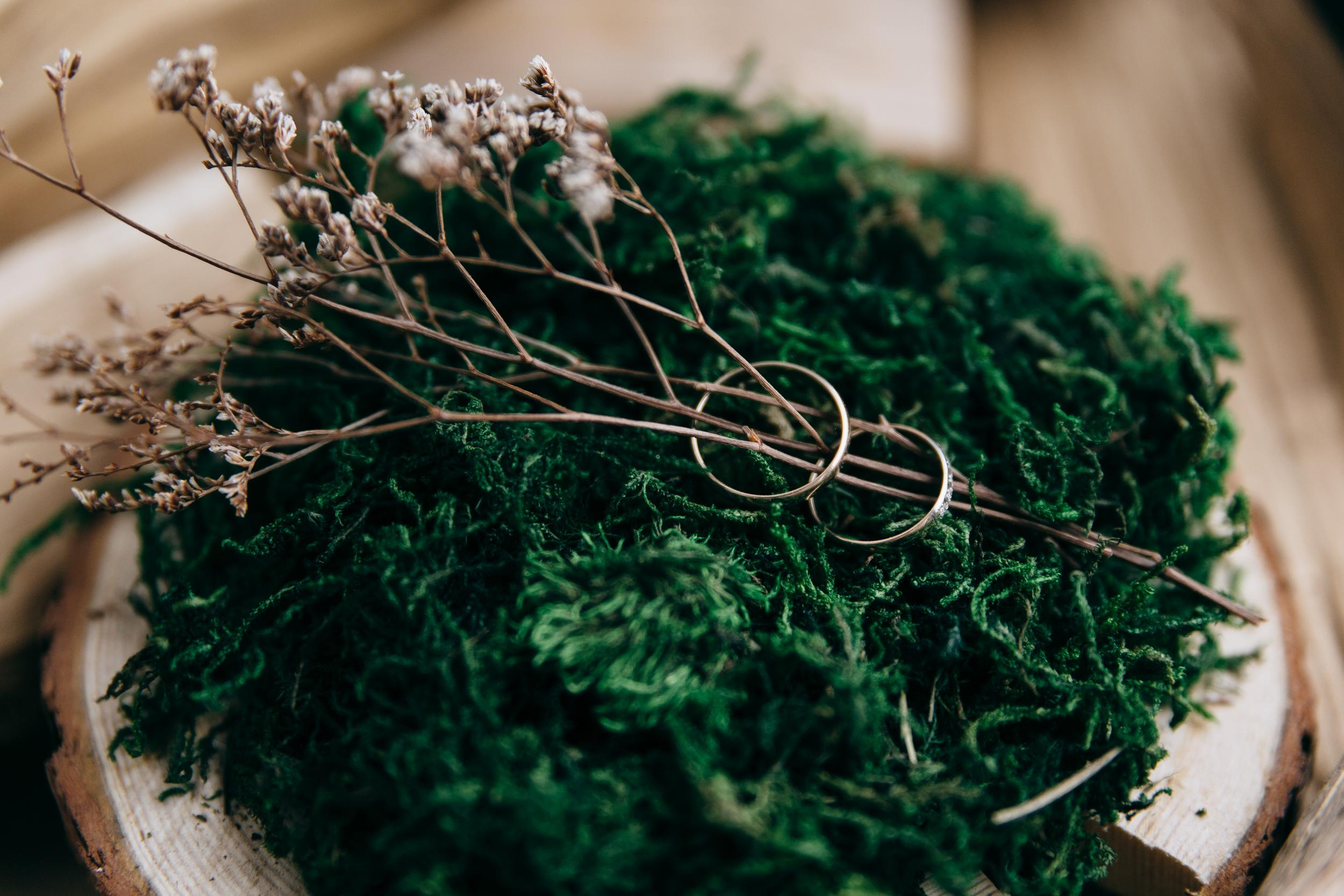 Дима+Алина. Свадебный и семейный фотограф в Москве Андрасюк Елена