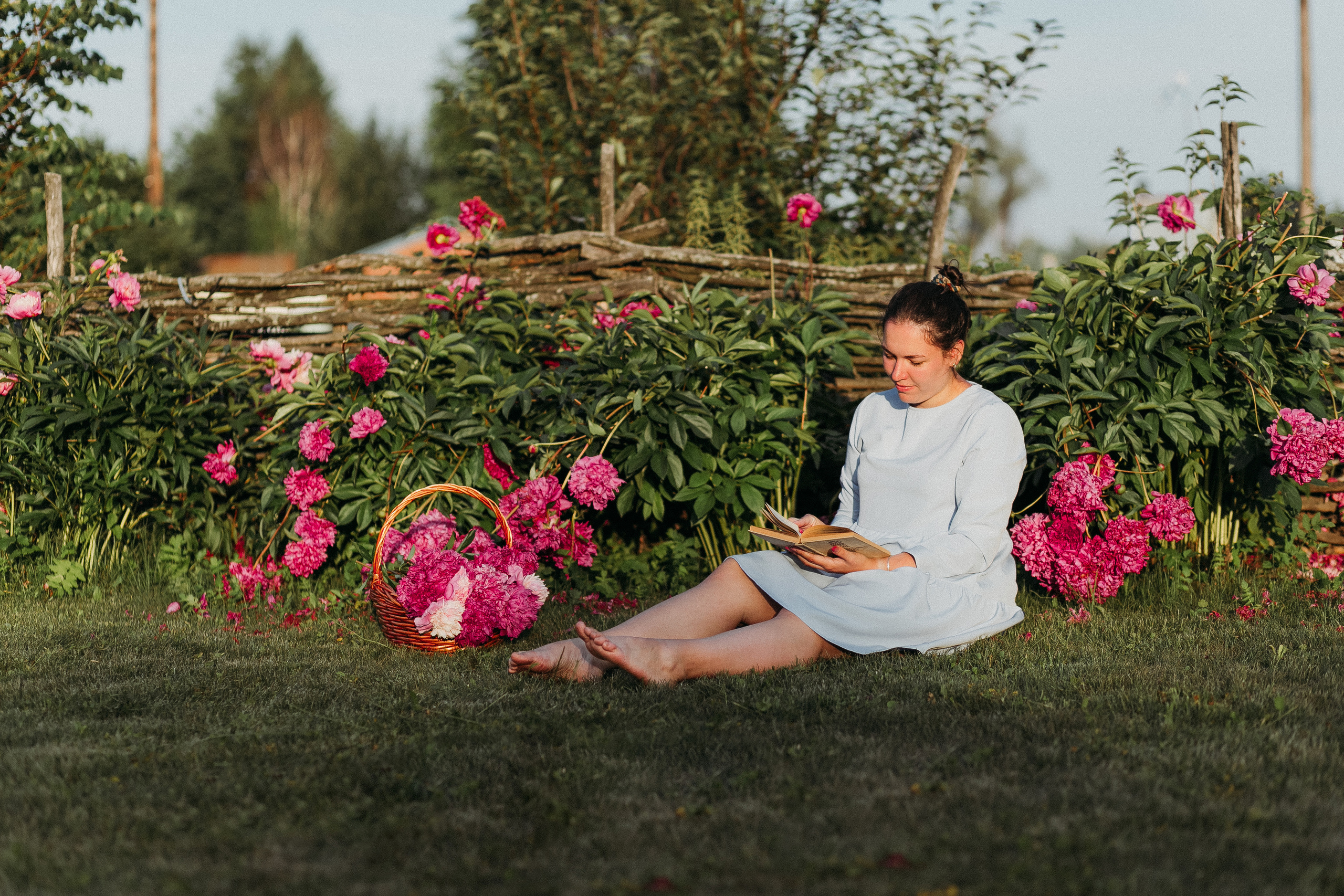 Пионы на вашей даче). Фотограф в  г. Новосибирск