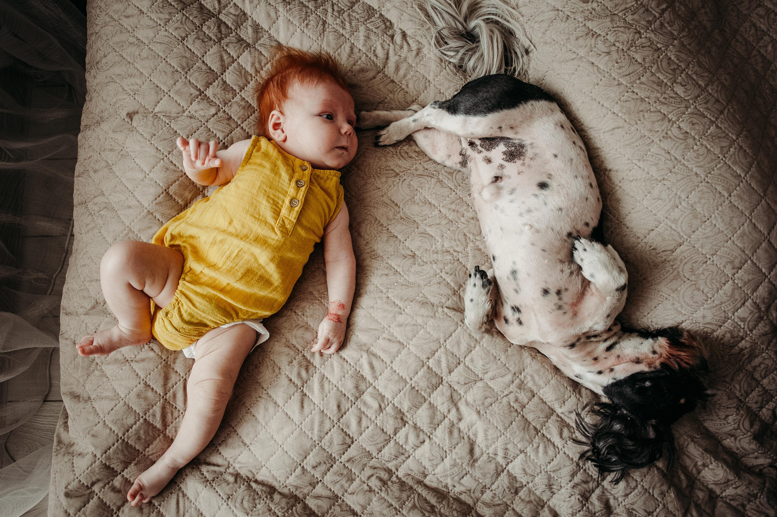 Солнечные. Фотограф в  г. Новосибирск