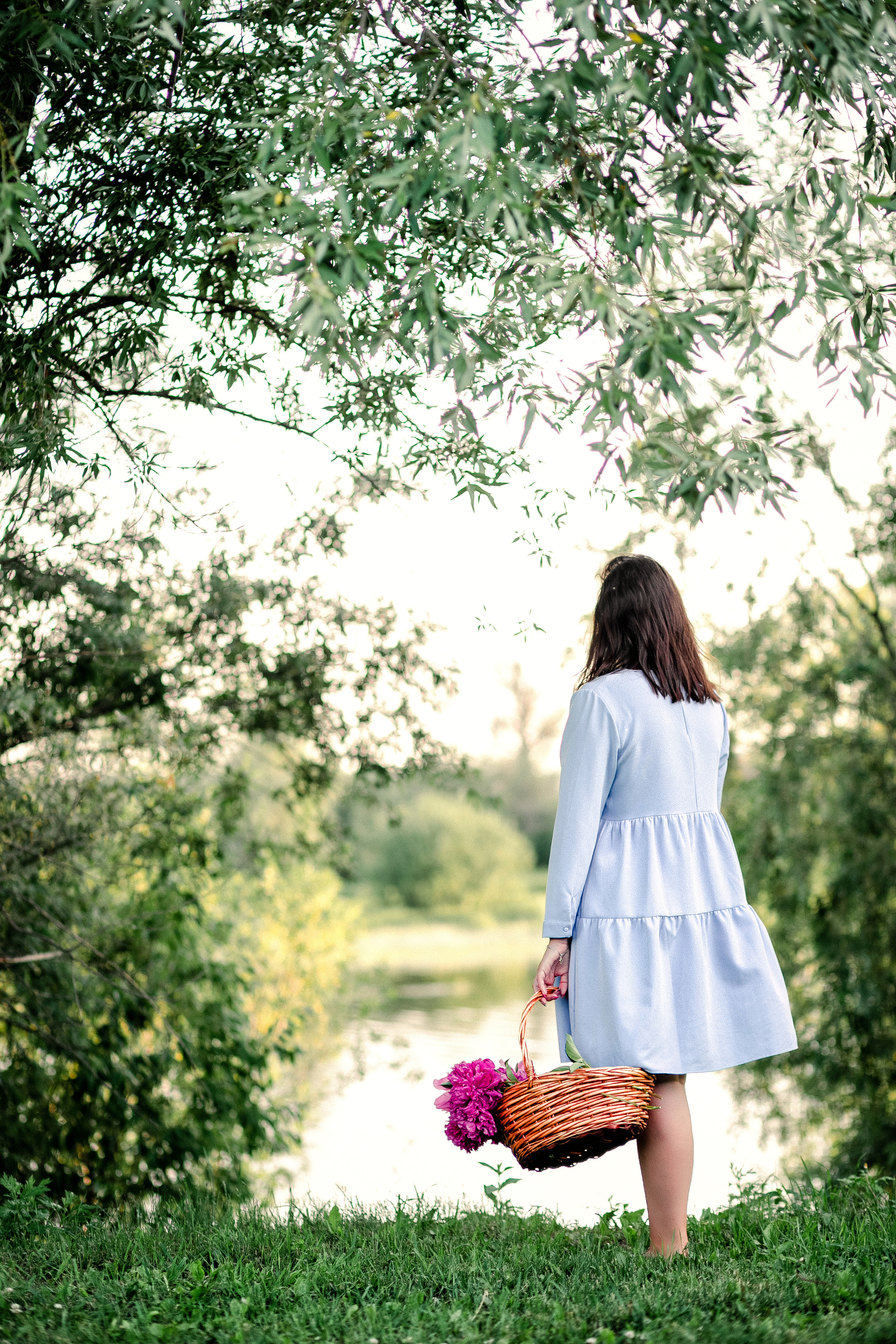 Пионы на вашей даче). Фотограф в  г. Новосибирск