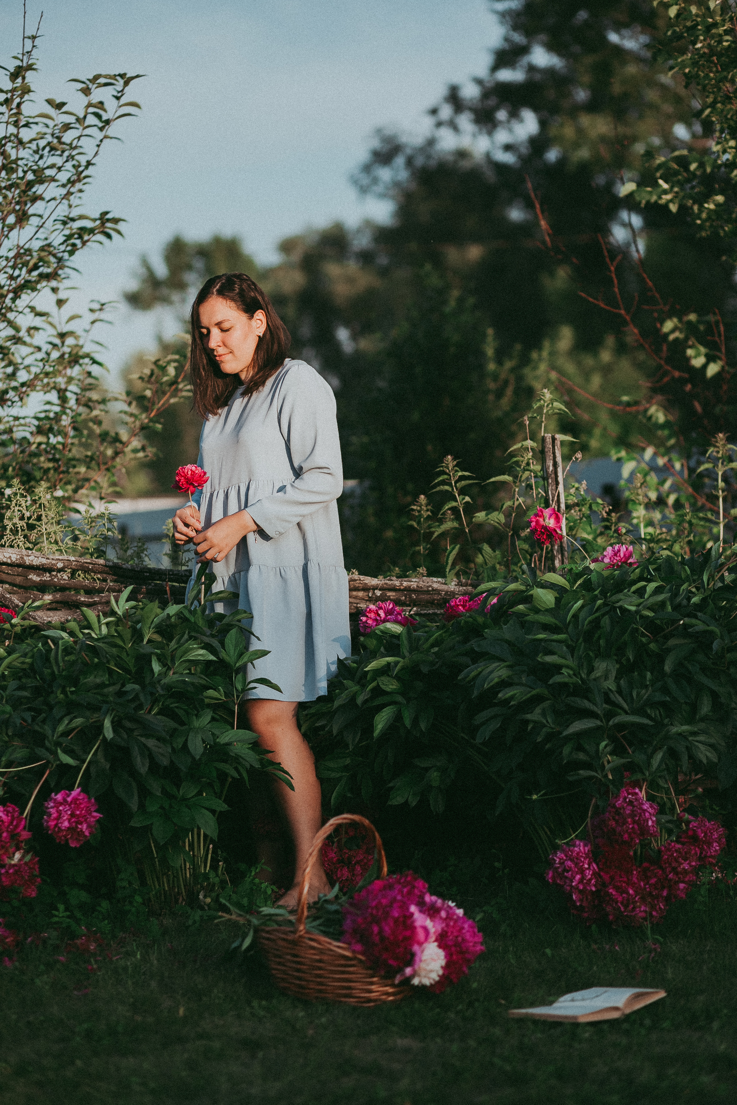 Пионы на вашей даче). Фотограф в  г. Новосибирск