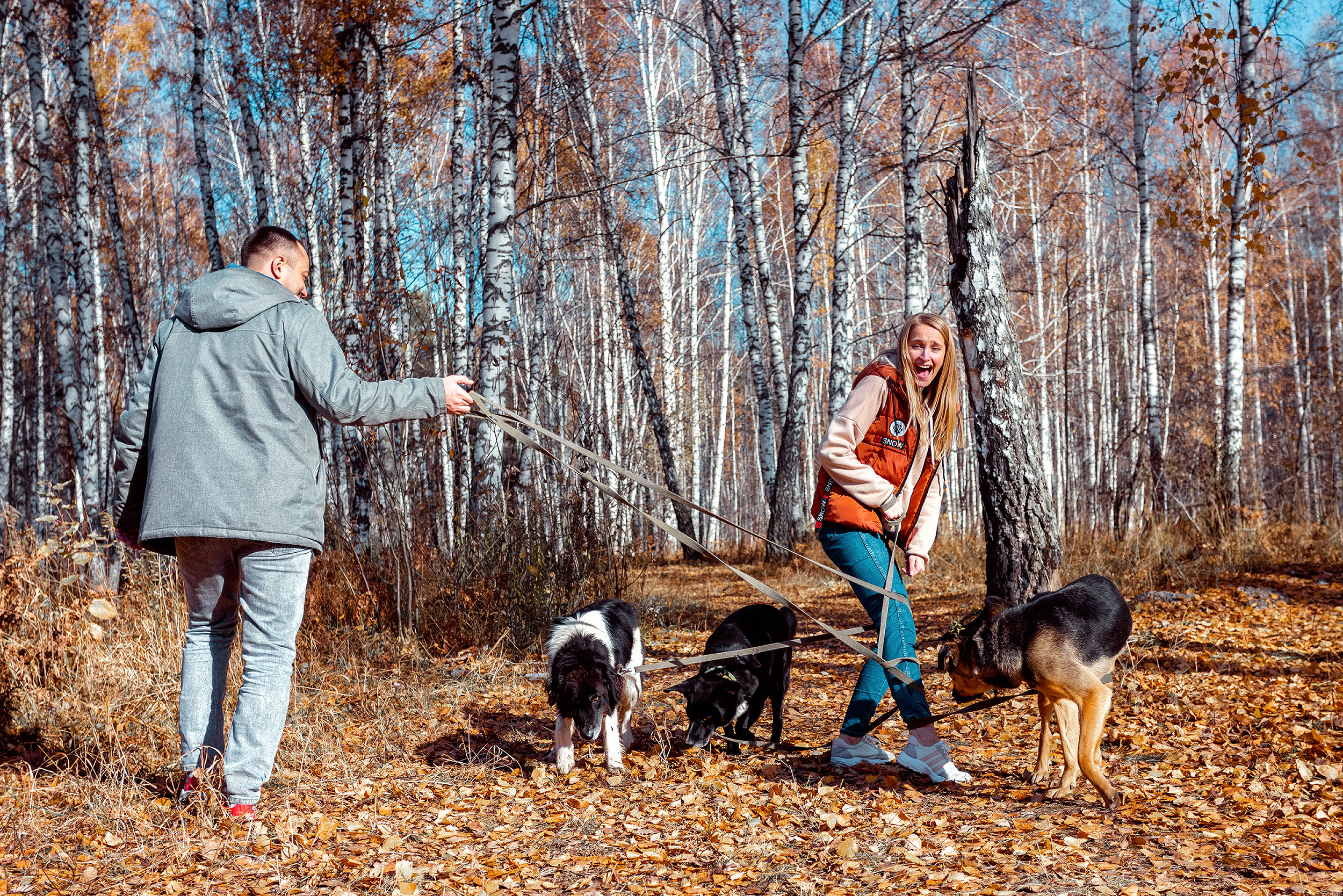 В гостях у @sobakinakadem. Фотограф в  г. Новосибирск