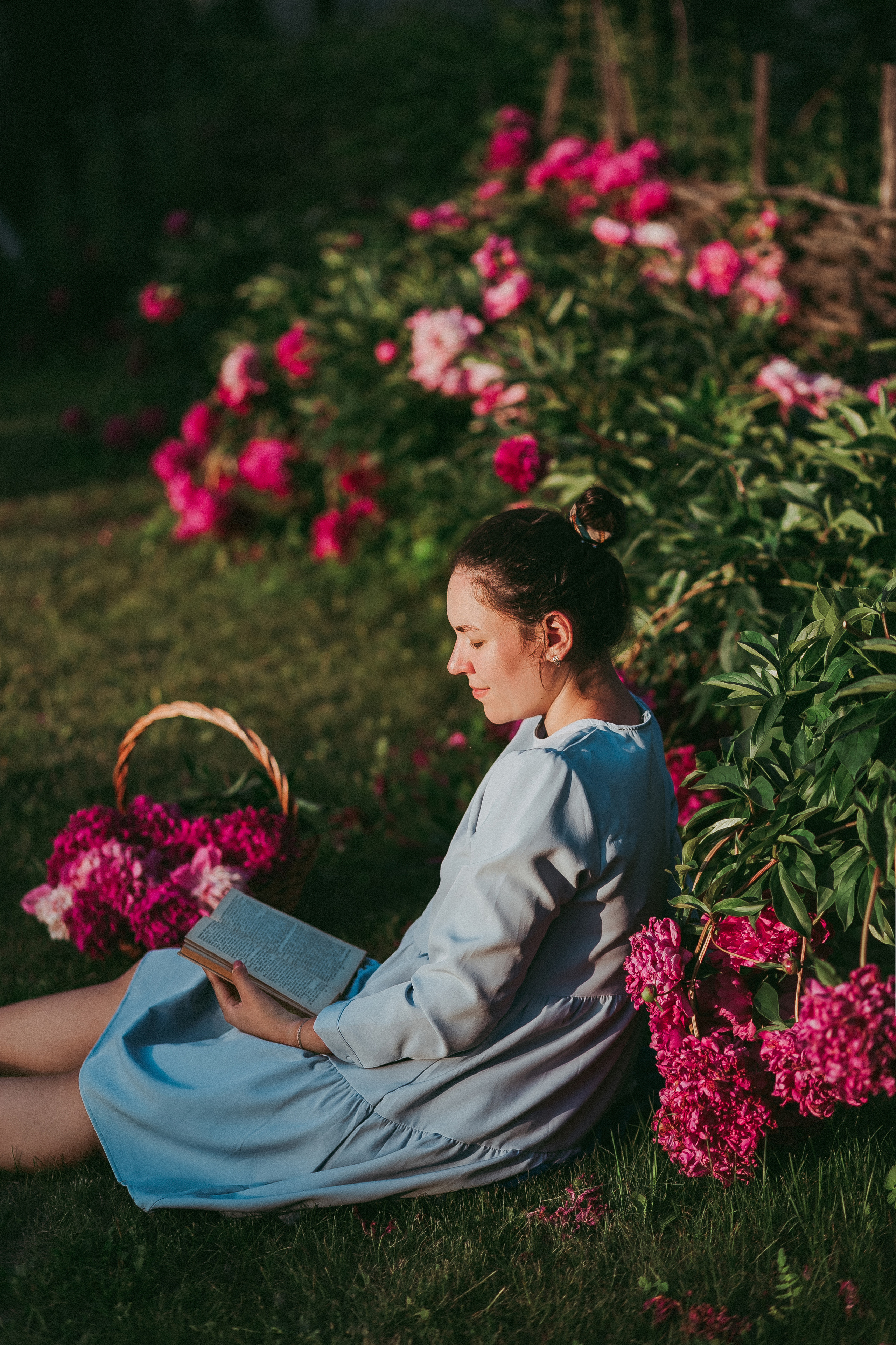 Пионы на вашей даче). Фотограф в  г. Новосибирск
