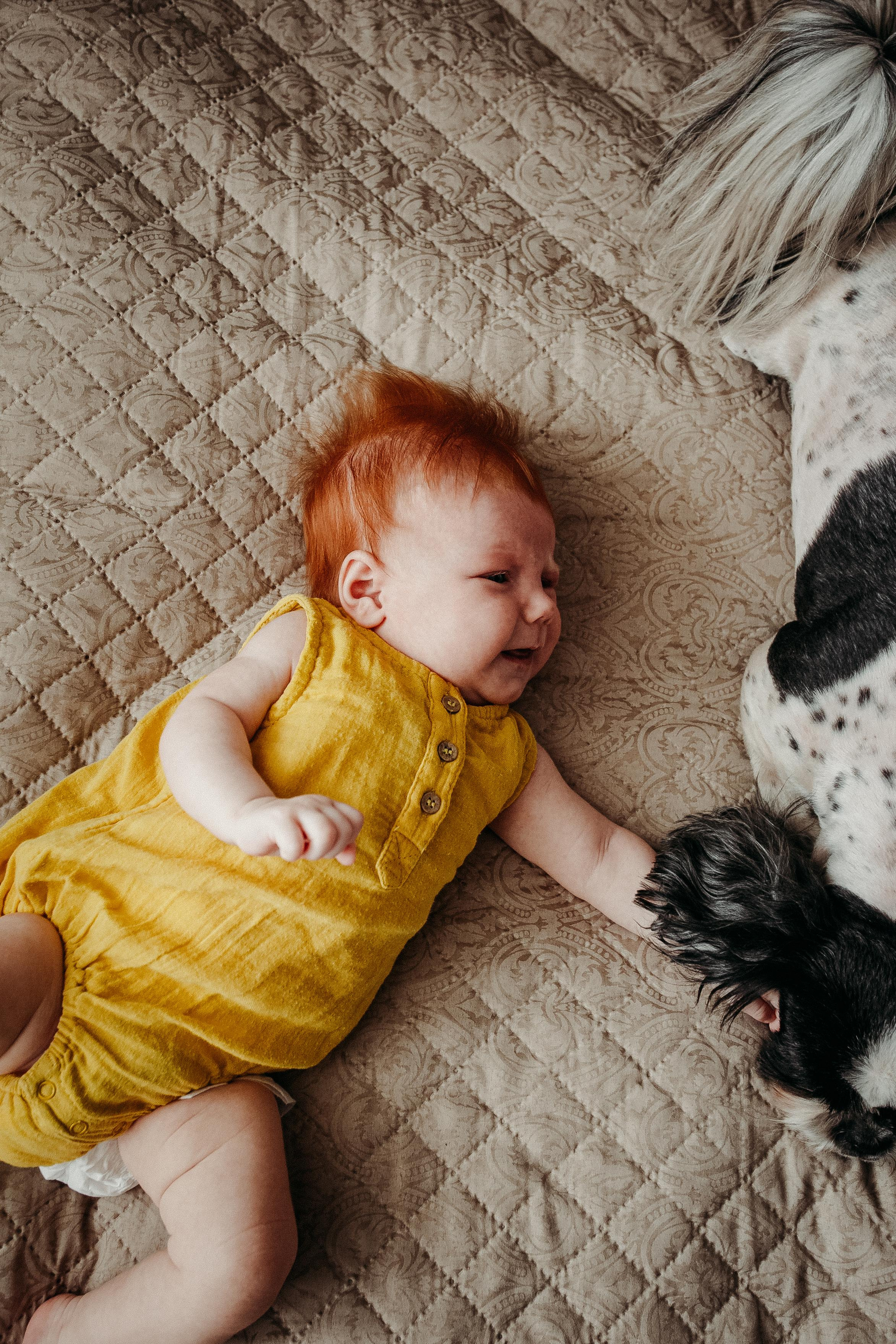 Солнечные. Фотограф в  г. Новосибирск