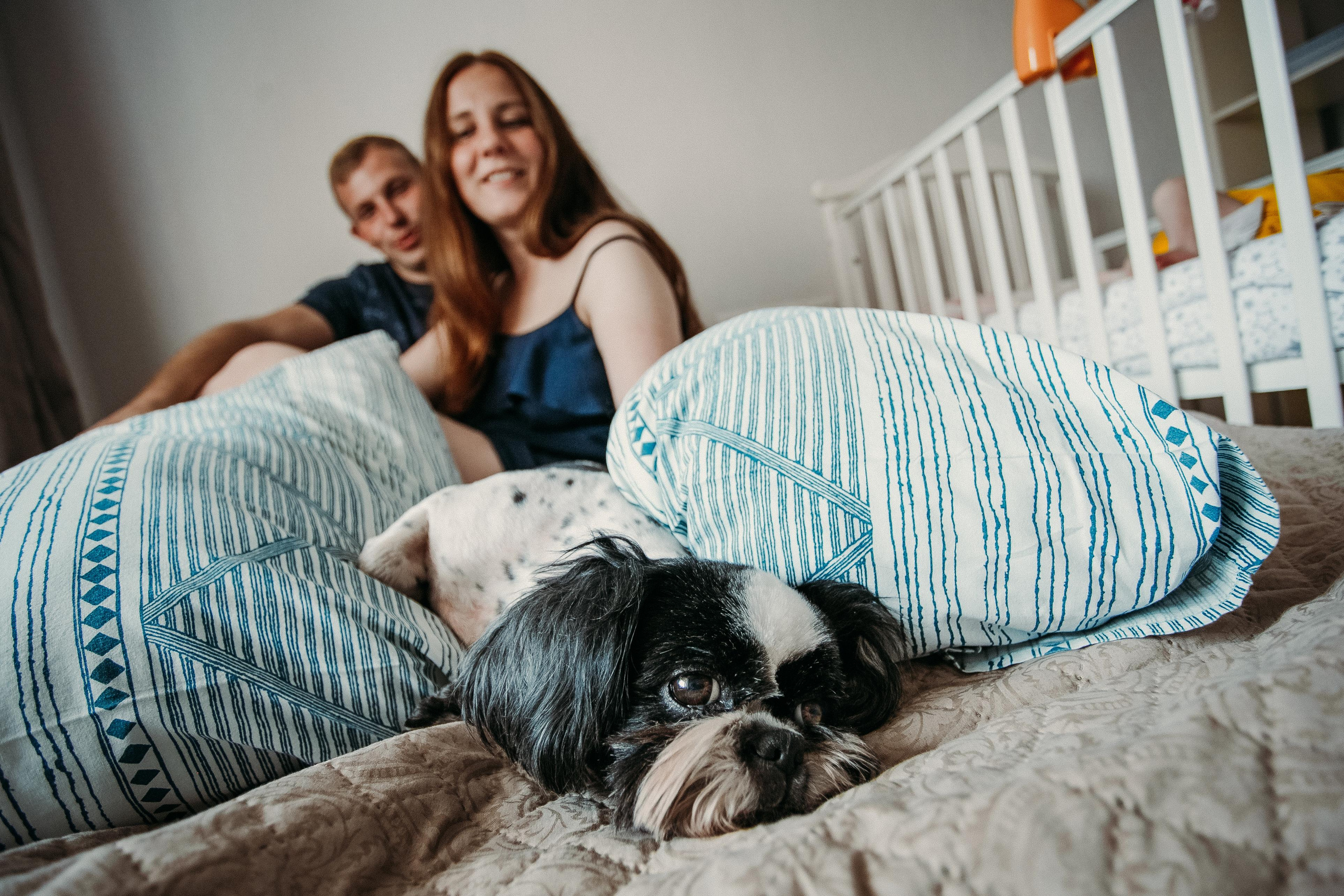 Солнечные. Фотограф в  г. Новосибирск