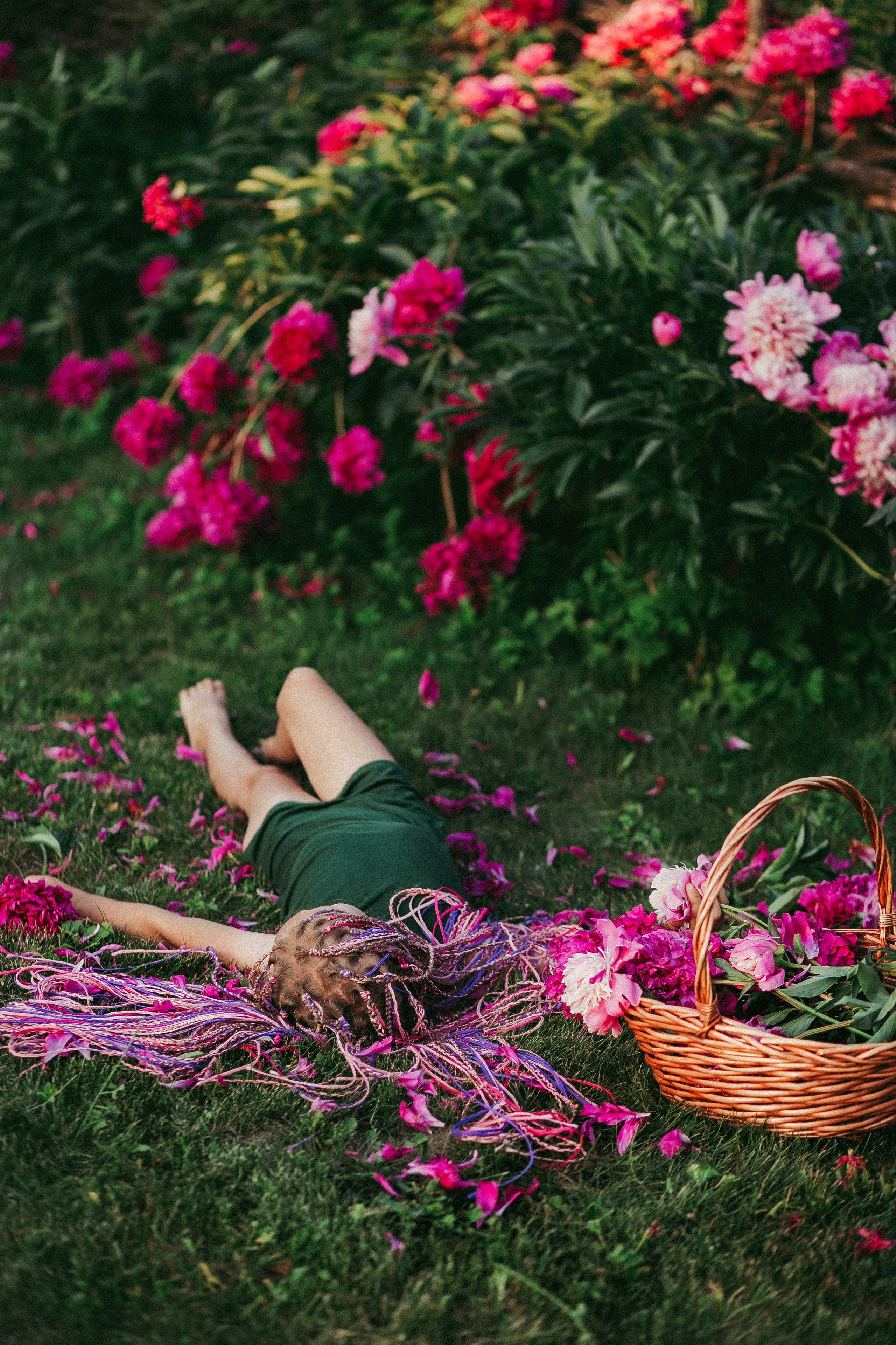 Пионы на вашей даче). Фотограф в  г. Новосибирск