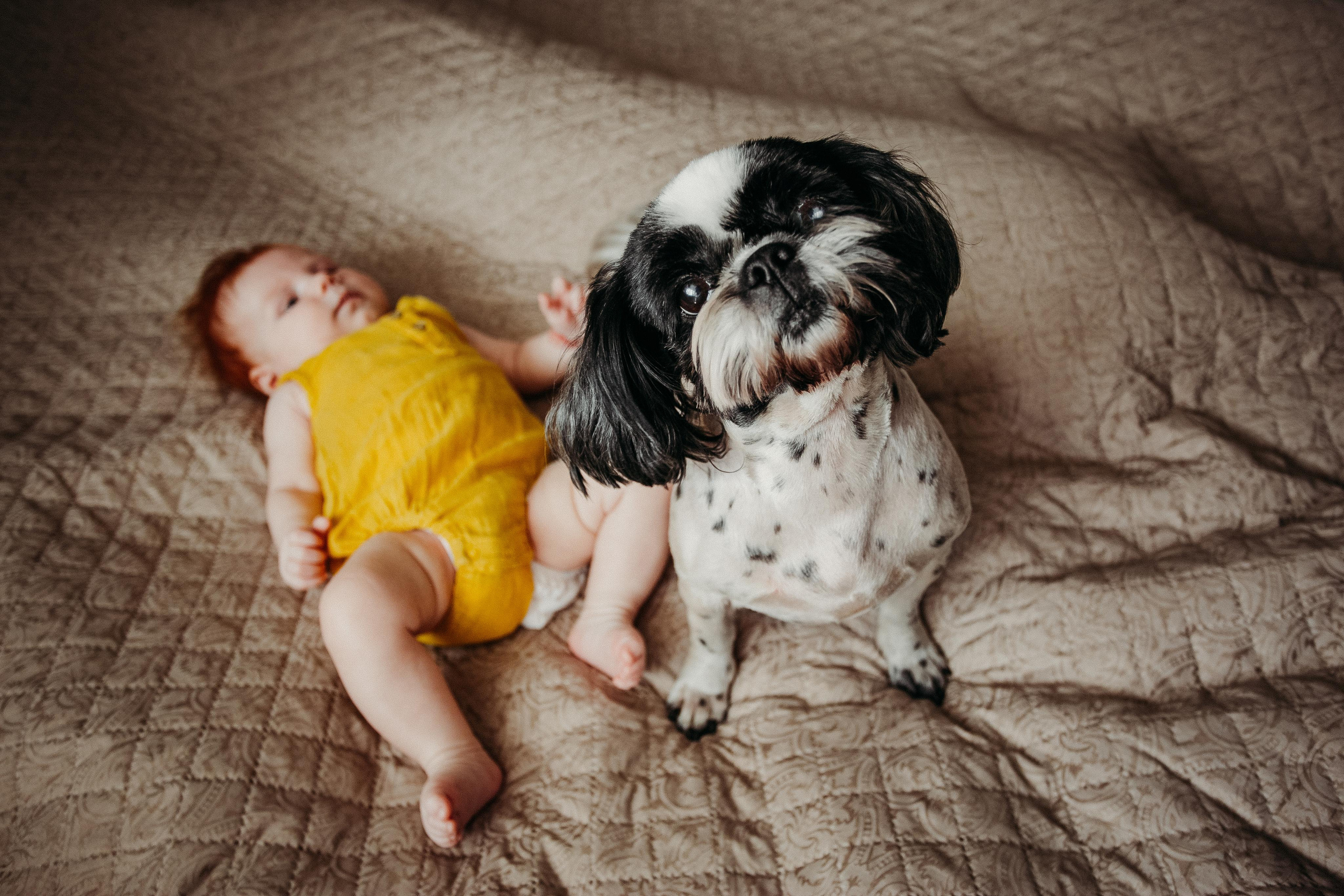 Солнечные. Фотограф в  г. Новосибирск