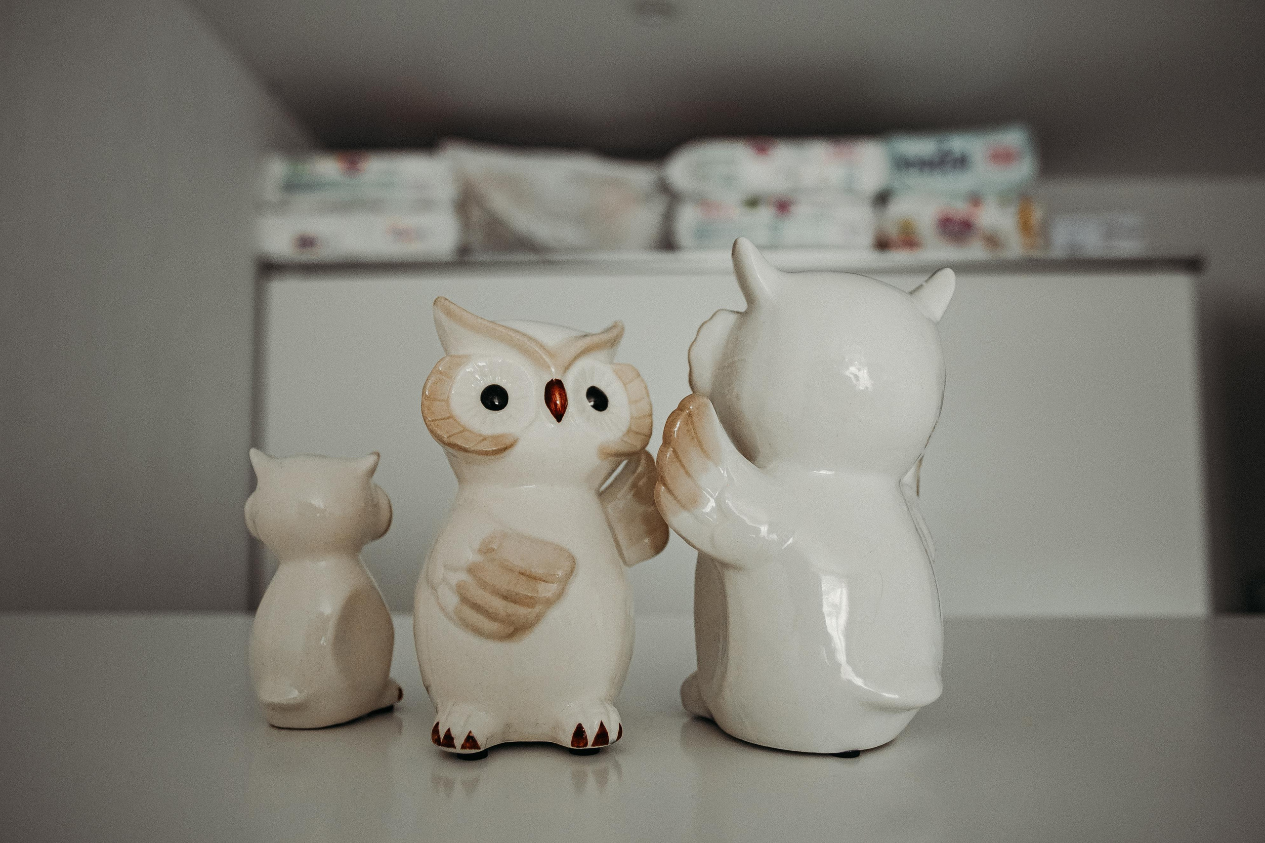 Солнечные. Фотограф в  г. Новосибирск