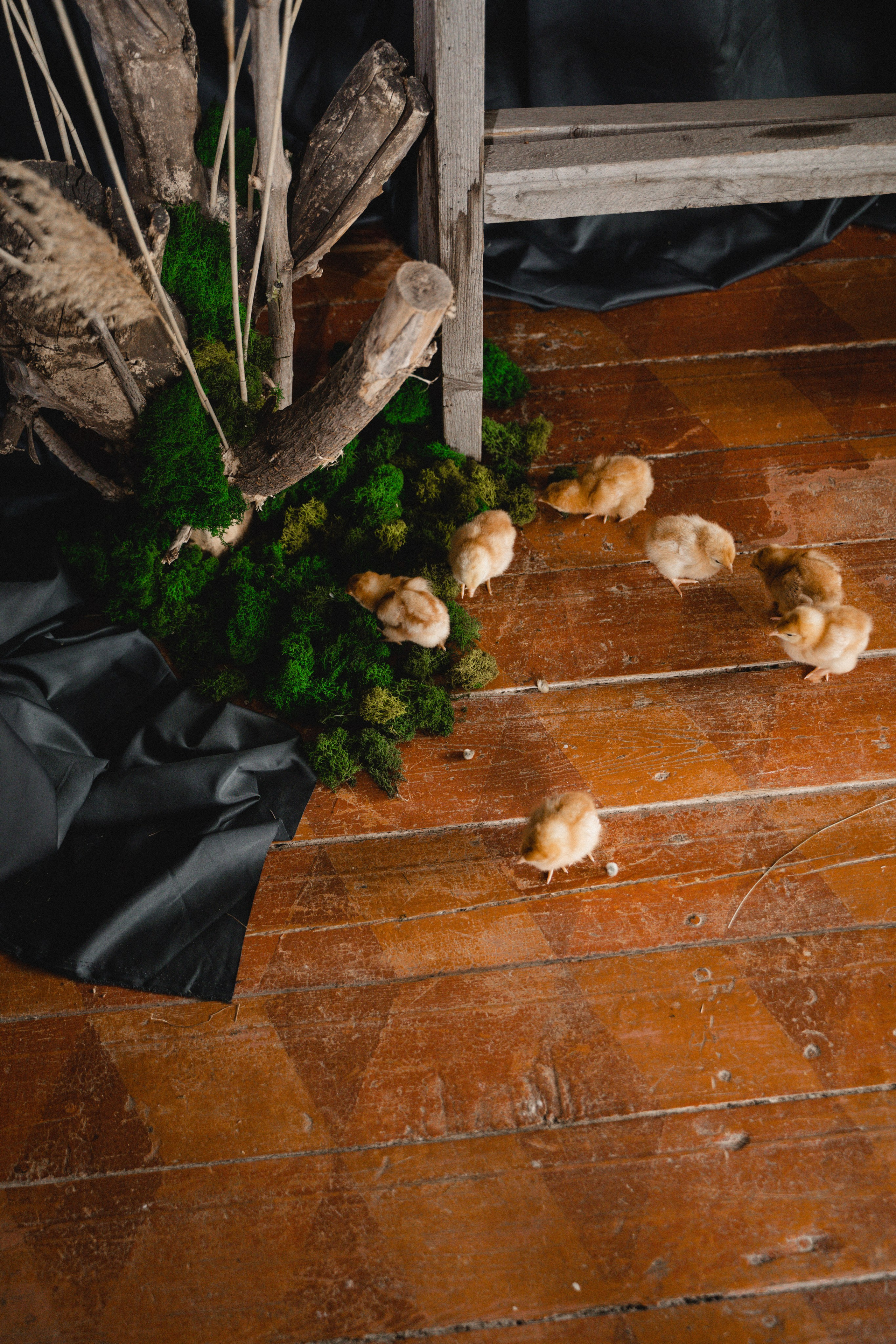 Детские съемки. Женский и семейный лайфстайл фотограф в Уфе Лайт Альбина