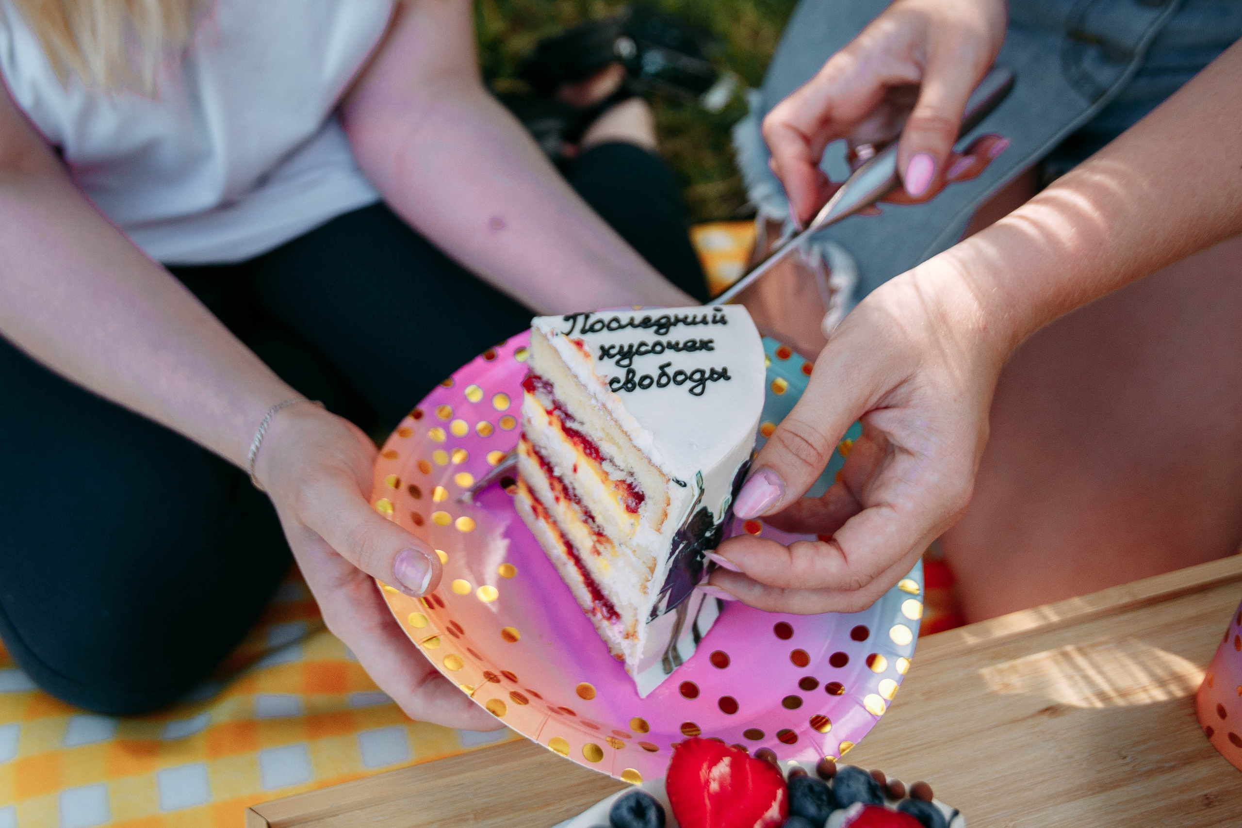 ПОСЛЕДНИЙ КУСОЧЕК СВОБОДЫ