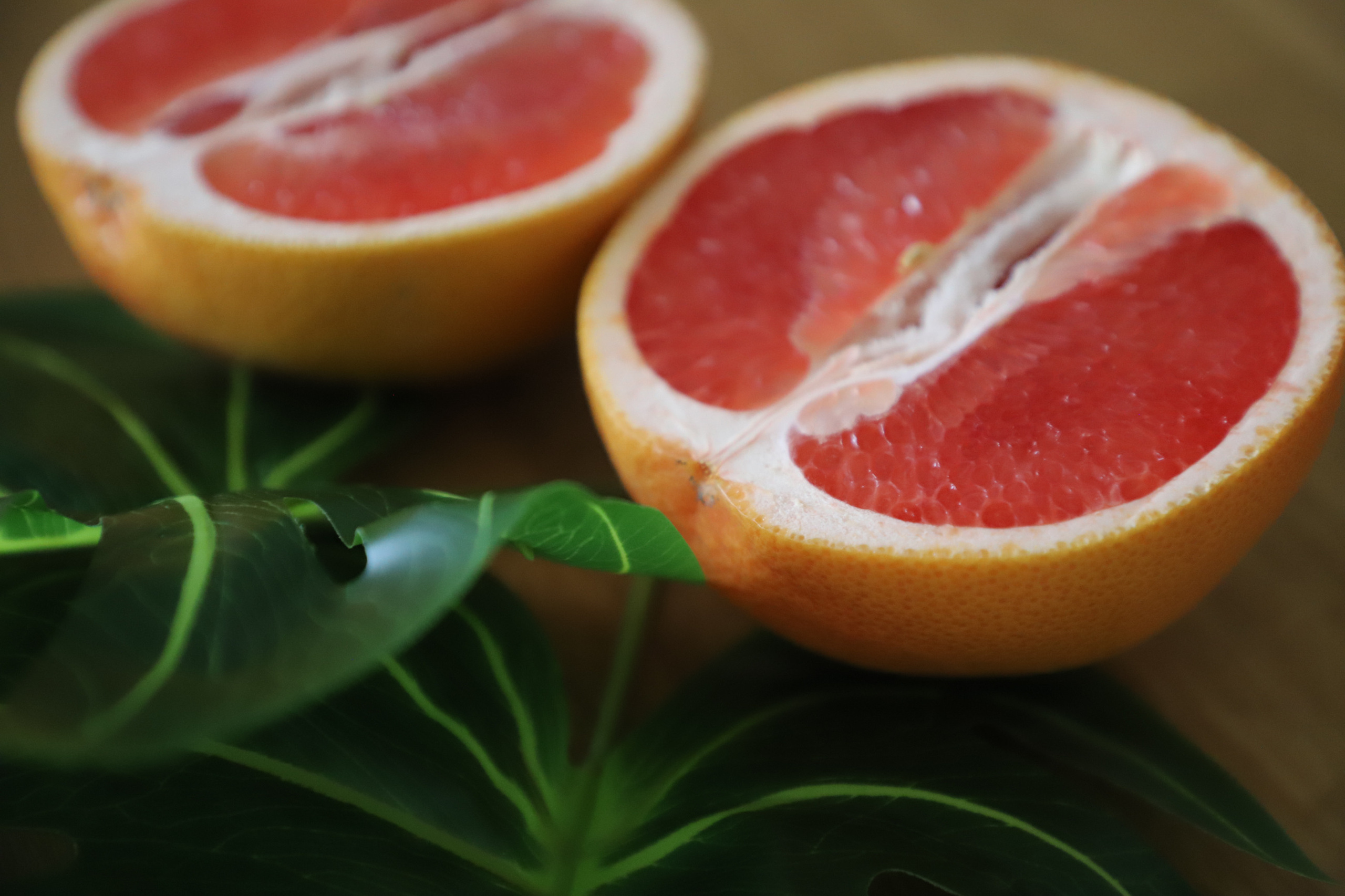 Кристина. Тропики. Свадебный фотограф в Сочи Наири